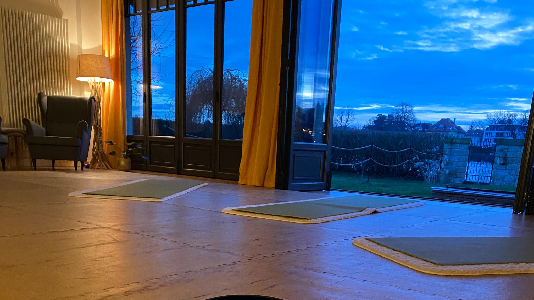 samyama - Integrale Yogameditation (Anmeldung per E-mail)