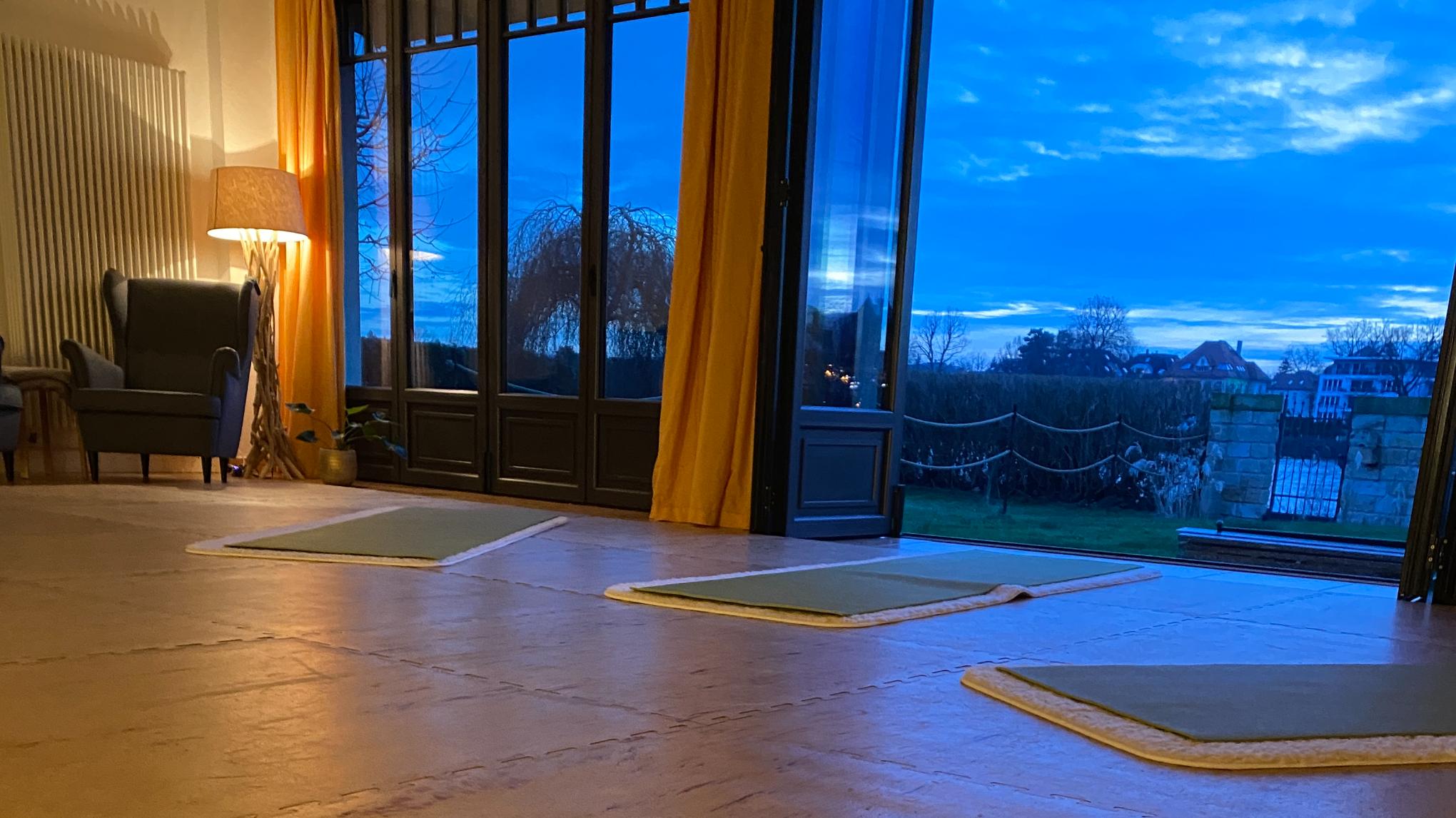 samyama - Integrale Yogameditation (Anmeldung per E-mail)