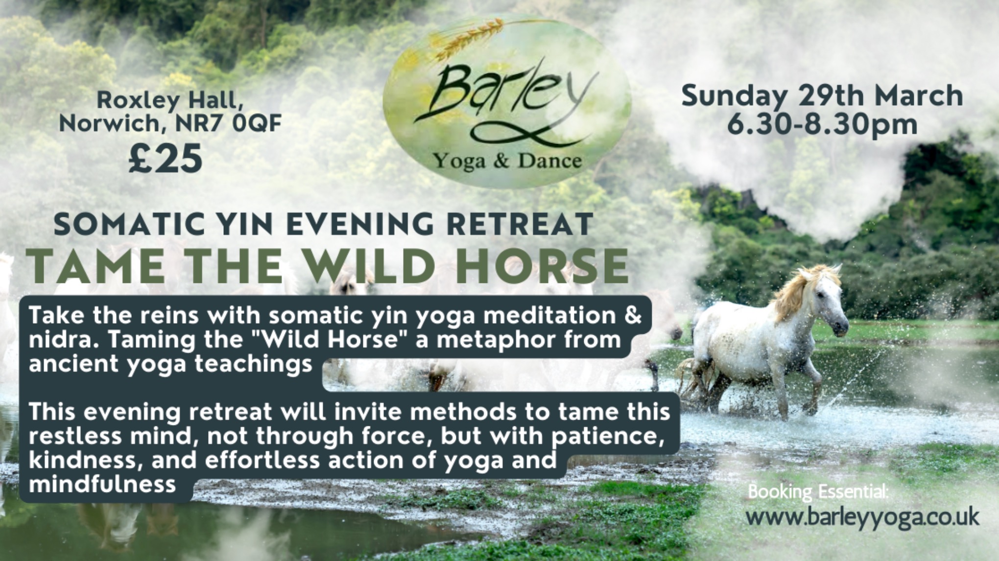 Somatic Yin, Meditation &Nidra: Taming the Wild Horse