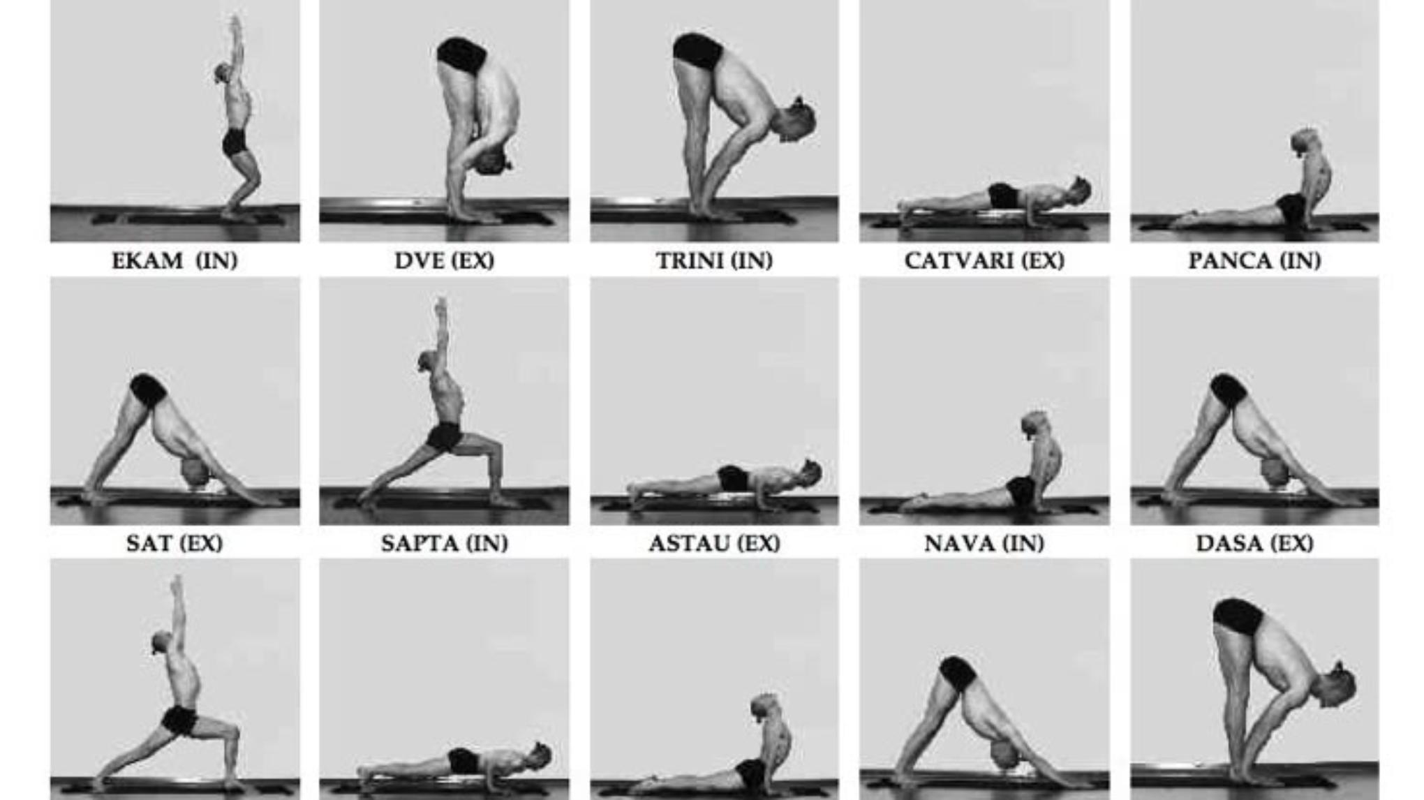 Atelier Découverte du Yoga & Alignements