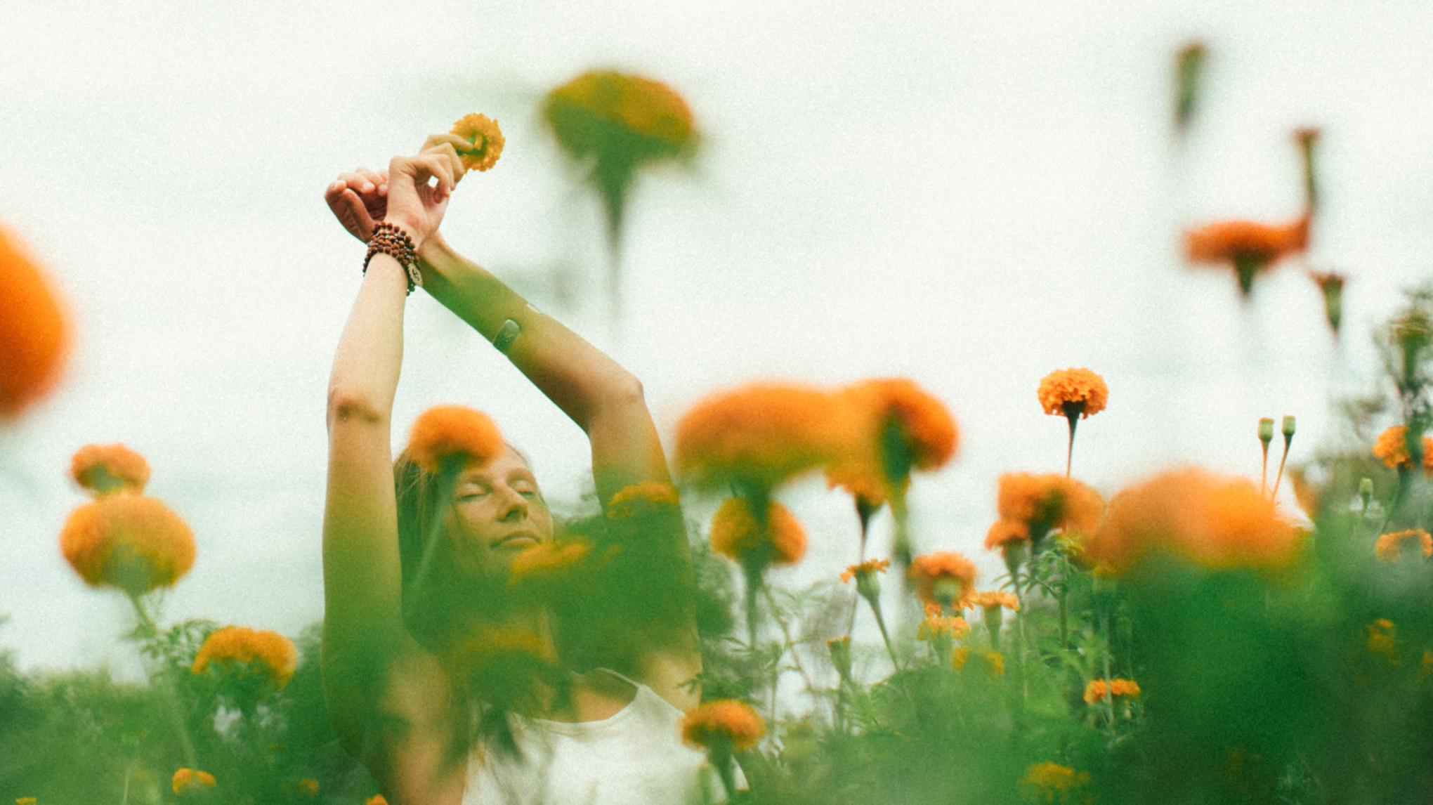 Cold Press Soap Making