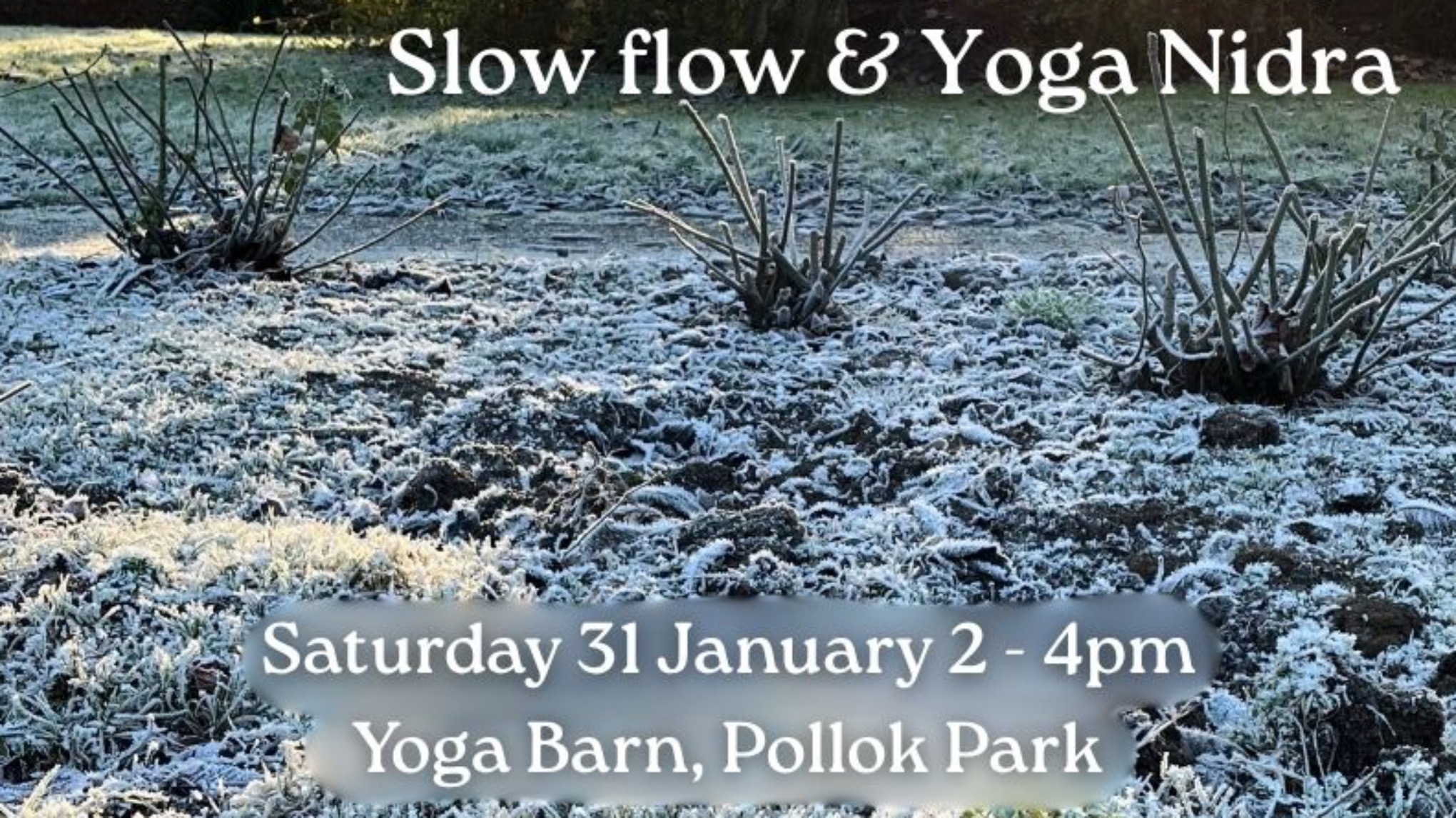 Slow Flow & Yoga Nidra with Lucie Potter