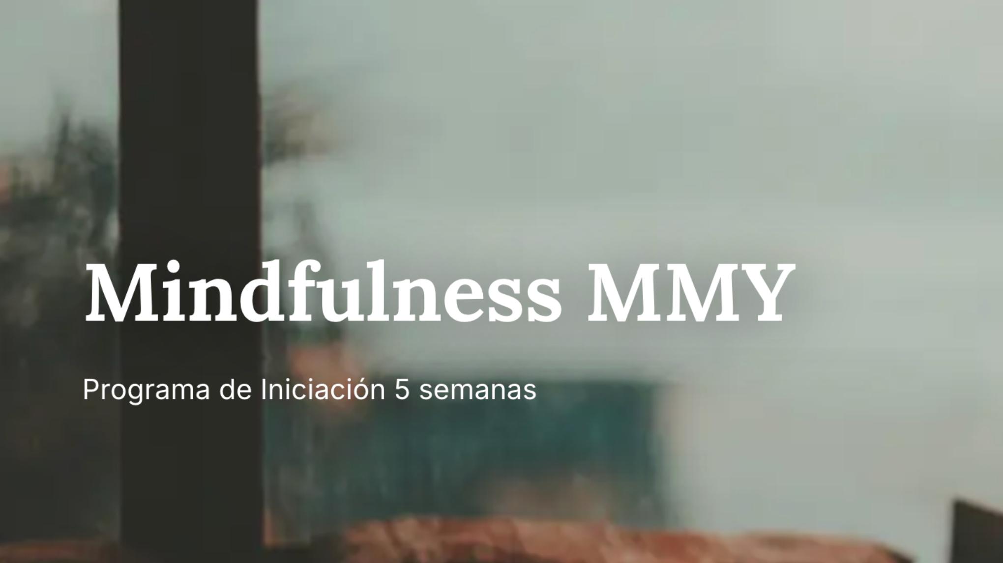 Sesión informativa online: MMY Mindfulness Método YUJ
