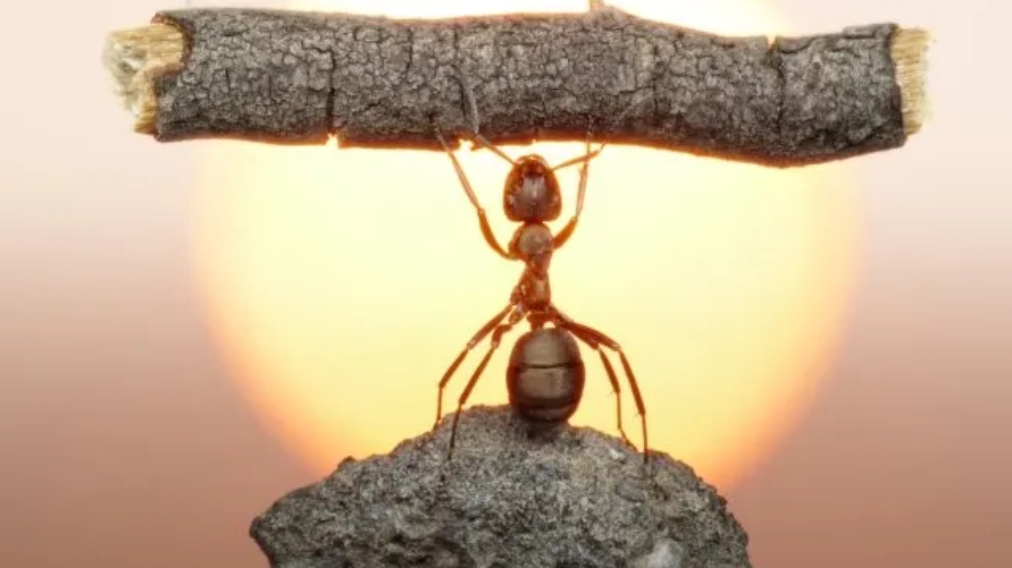 K.I. - KörperIntelligenz - Erlebnisseminar