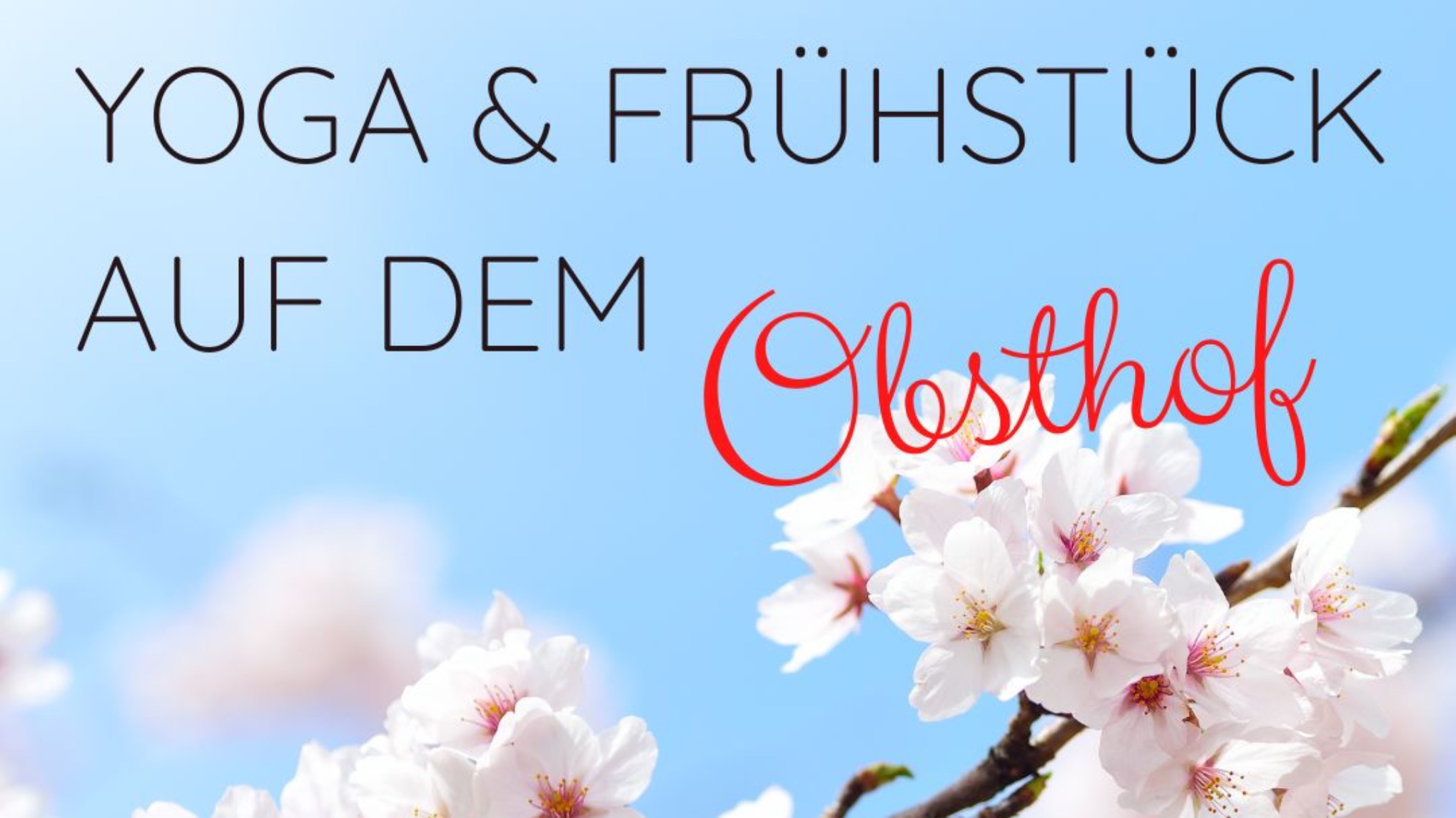 Yoga & Frühstück auf dem Obsthof