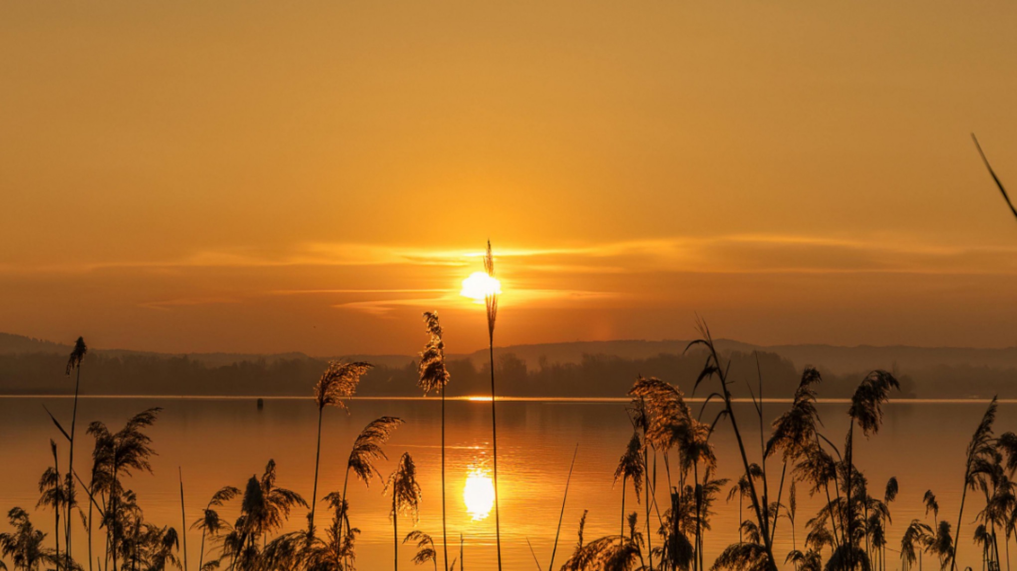Sonnengruß-Challenge