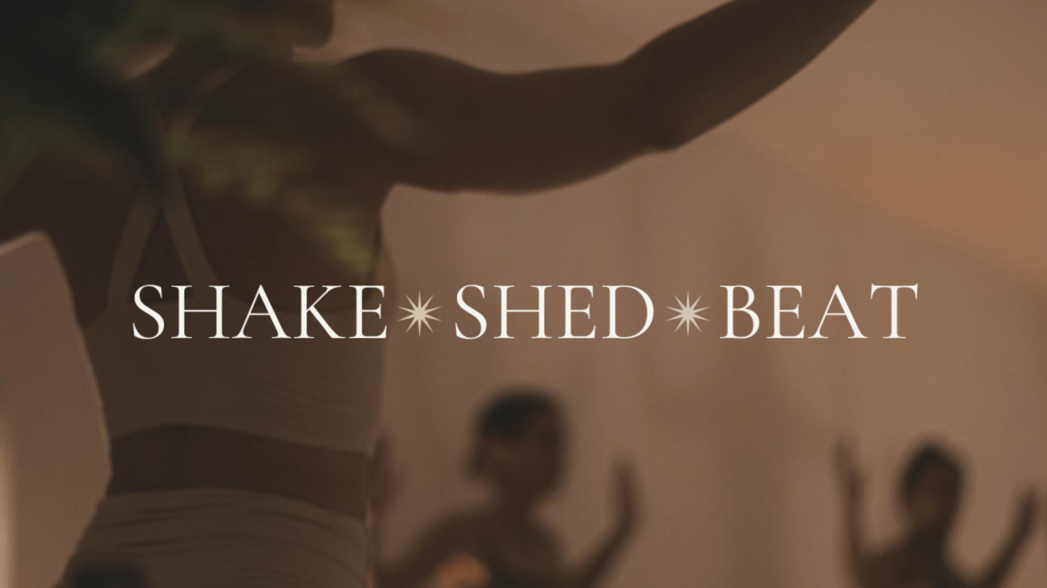 SHAKE ✵ SHED ✵ BEAT | SEVEN