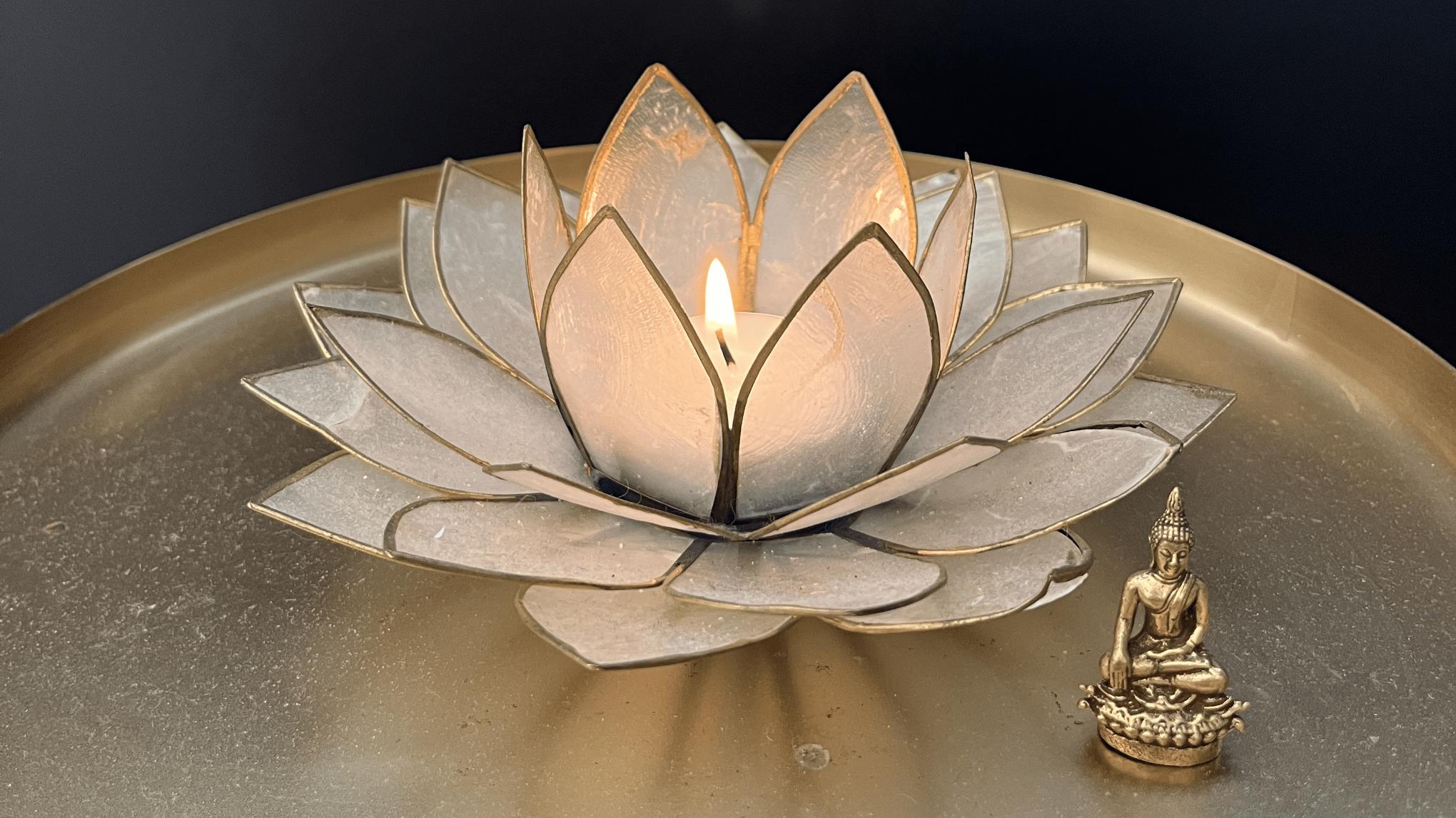 Sanga Saturday | AYL's community circle