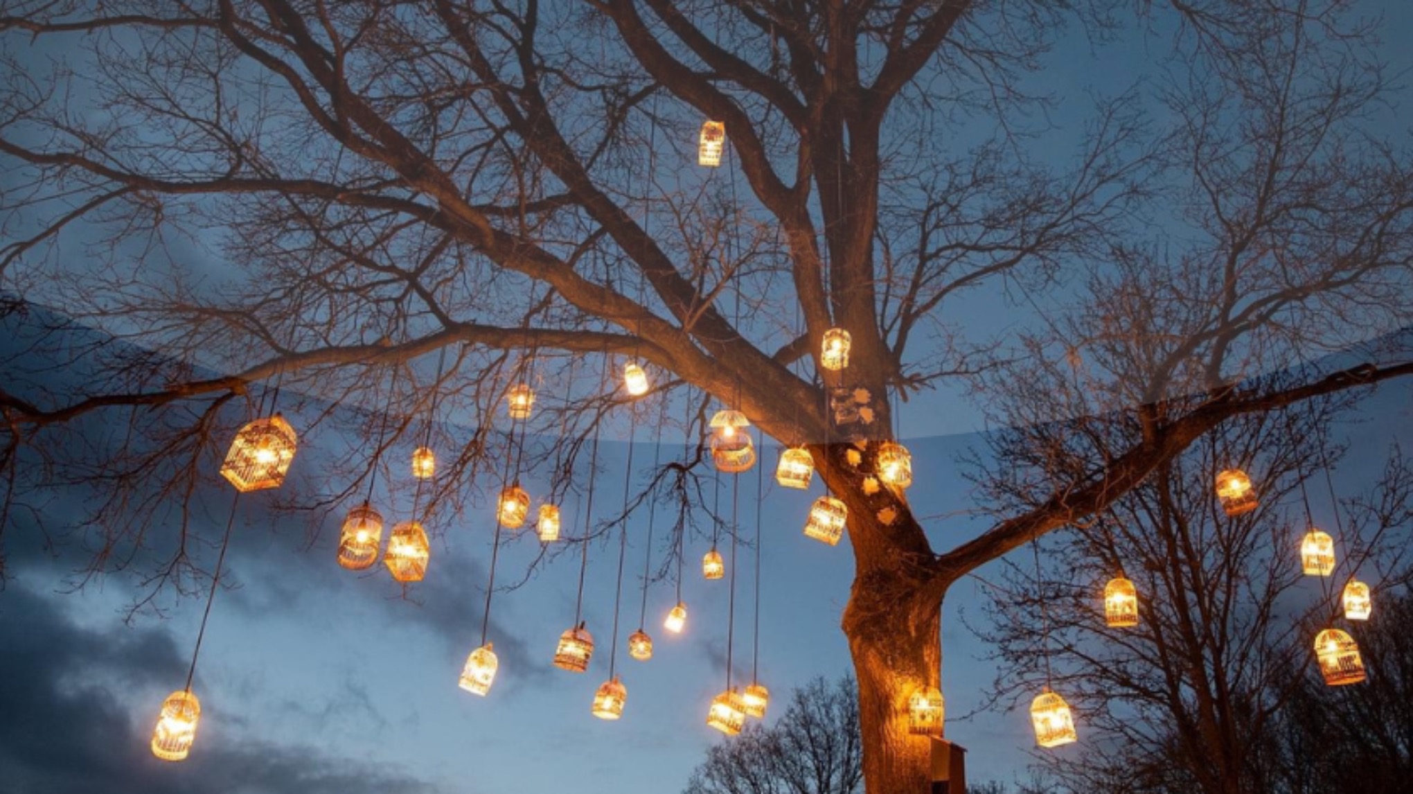 ( nog 4 plek) Cacao Ceremonie XL in Yurt 🌕