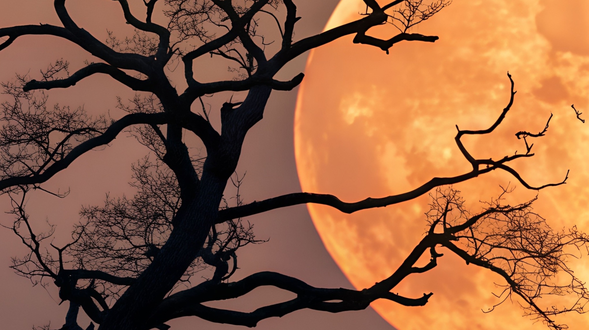 Volle Maan Meditatie & Inner Divine Activatie