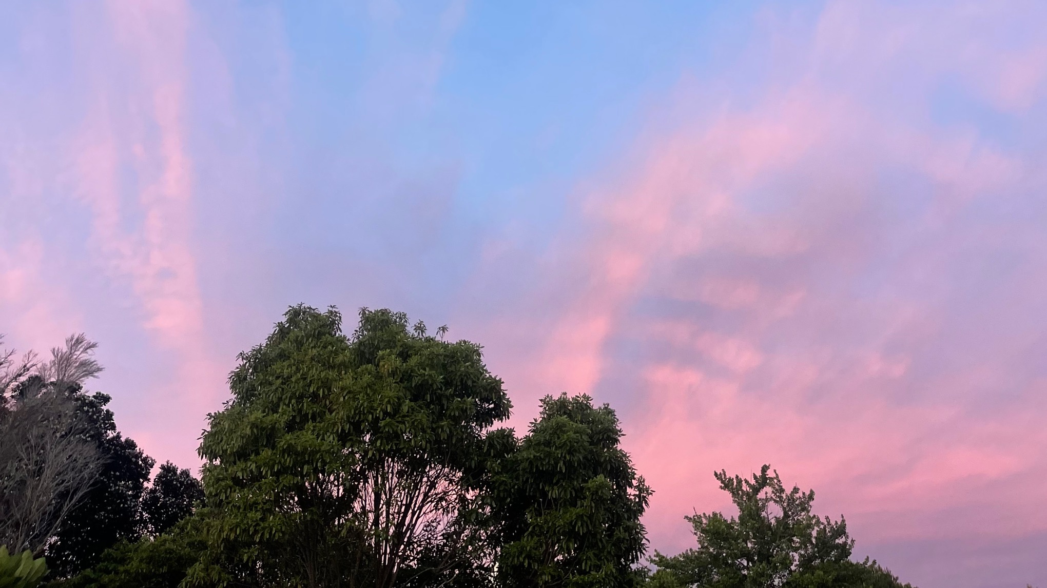 Welcoming 2026 ~ Kundalini Workshop 🪷