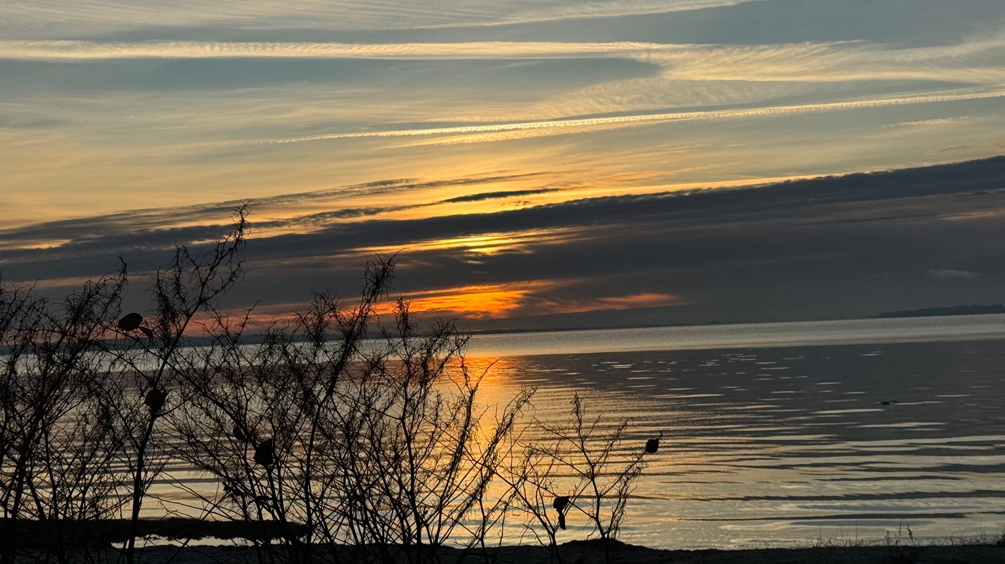 Sukshma Vyayama · Yoga Nidra · Pranayama · Meditation