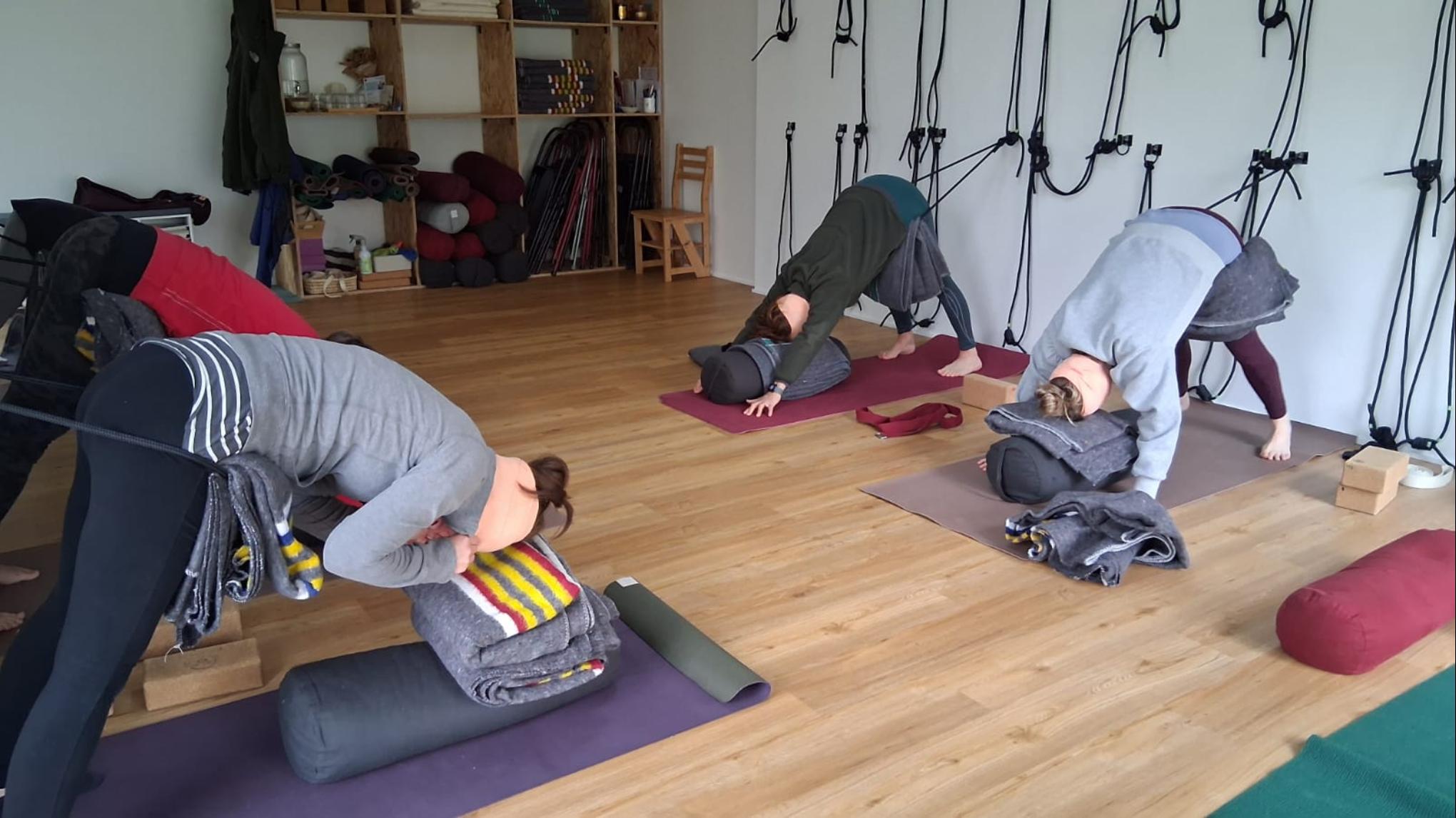 🧘‍♀️ Atelier Yoga Iyengar « Reset et alignement »