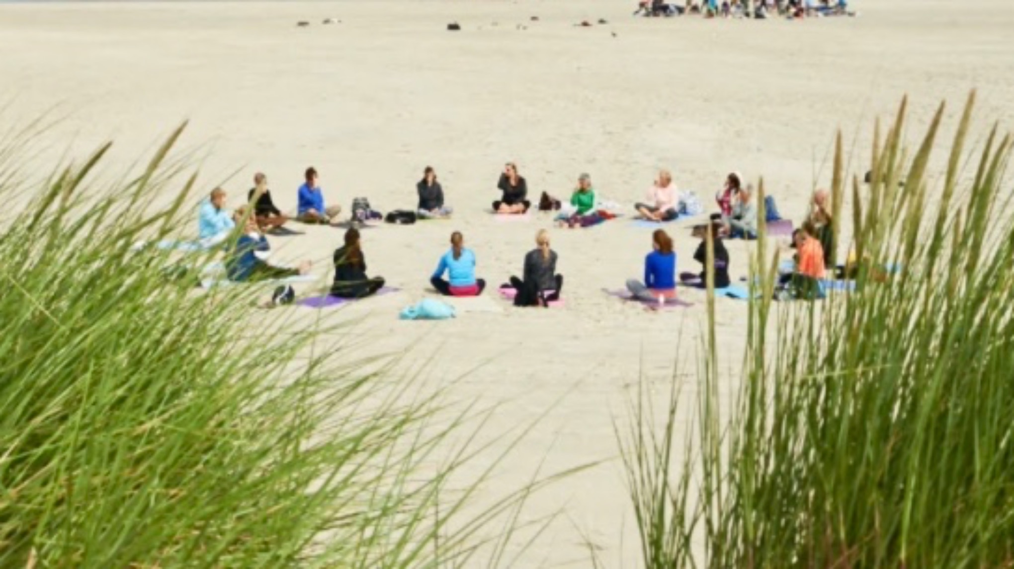 One with Nature  Yoga kampeer weekend Terschelling 3-5 juli