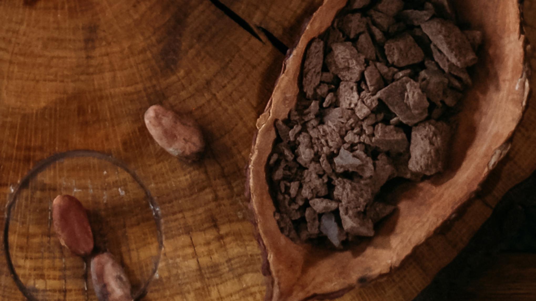 Cacao Nidra Klankschalen&Zang