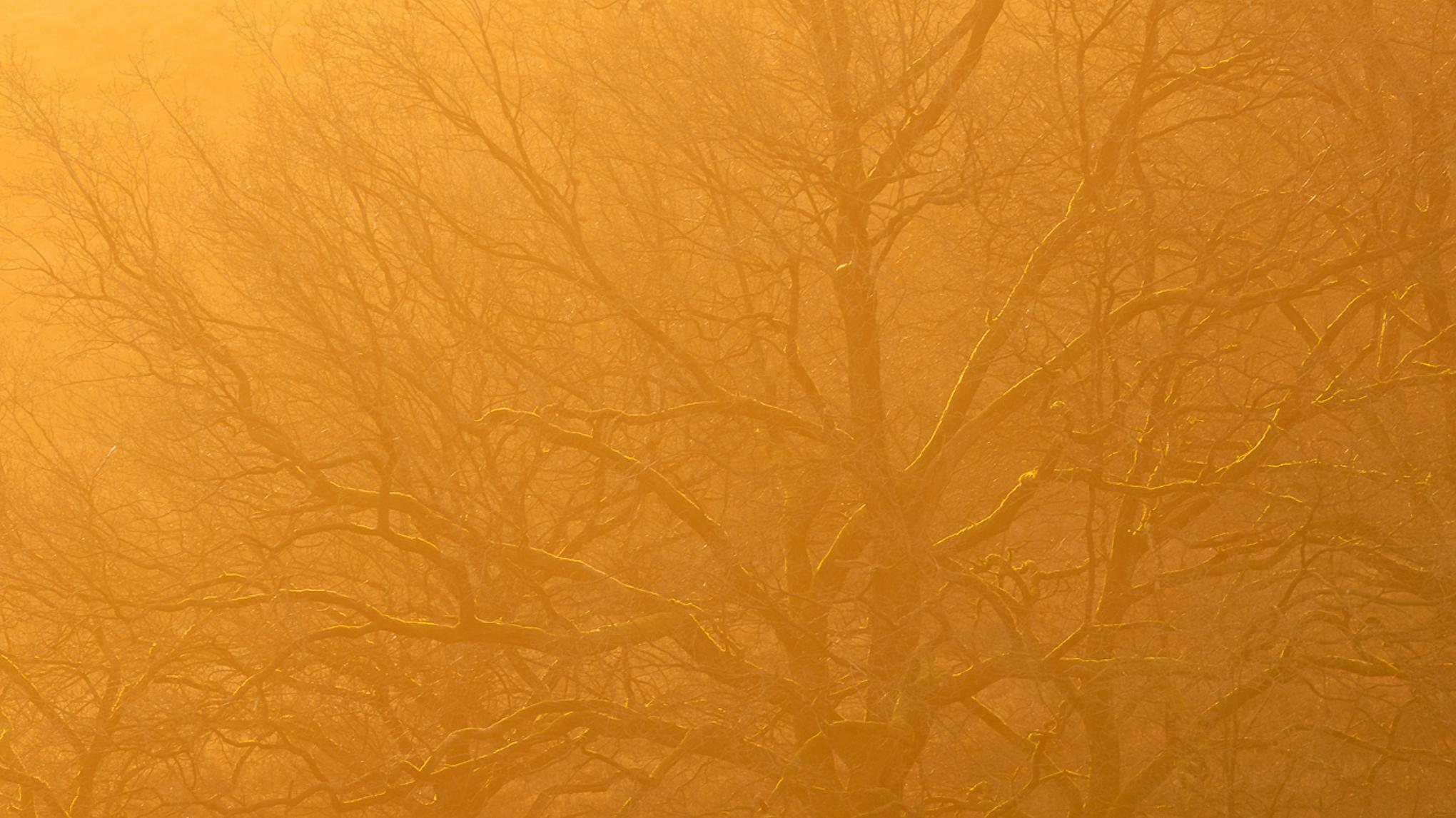 De kracht van de vrouw ❤️‍🔥