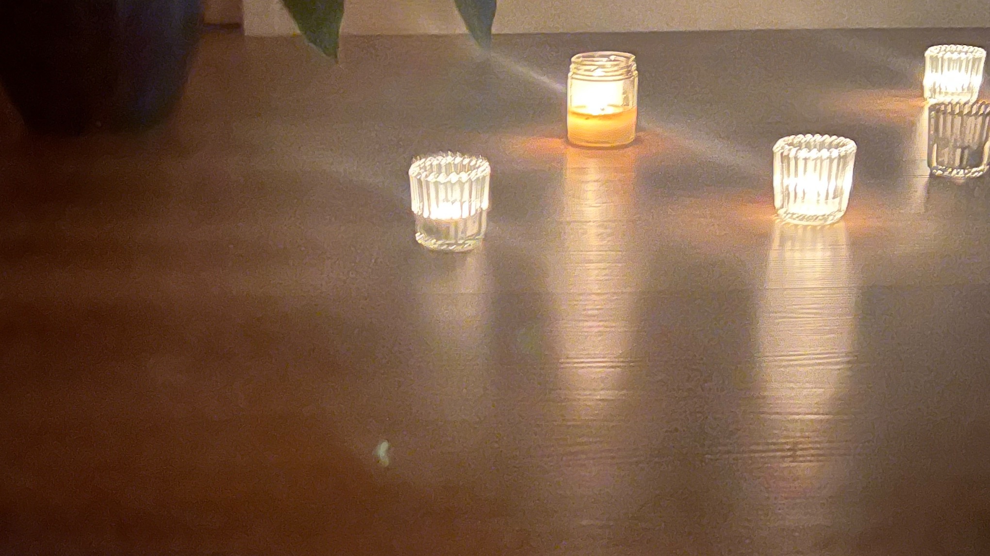 Candlelight Calm Yoga at Timber Run Gardens