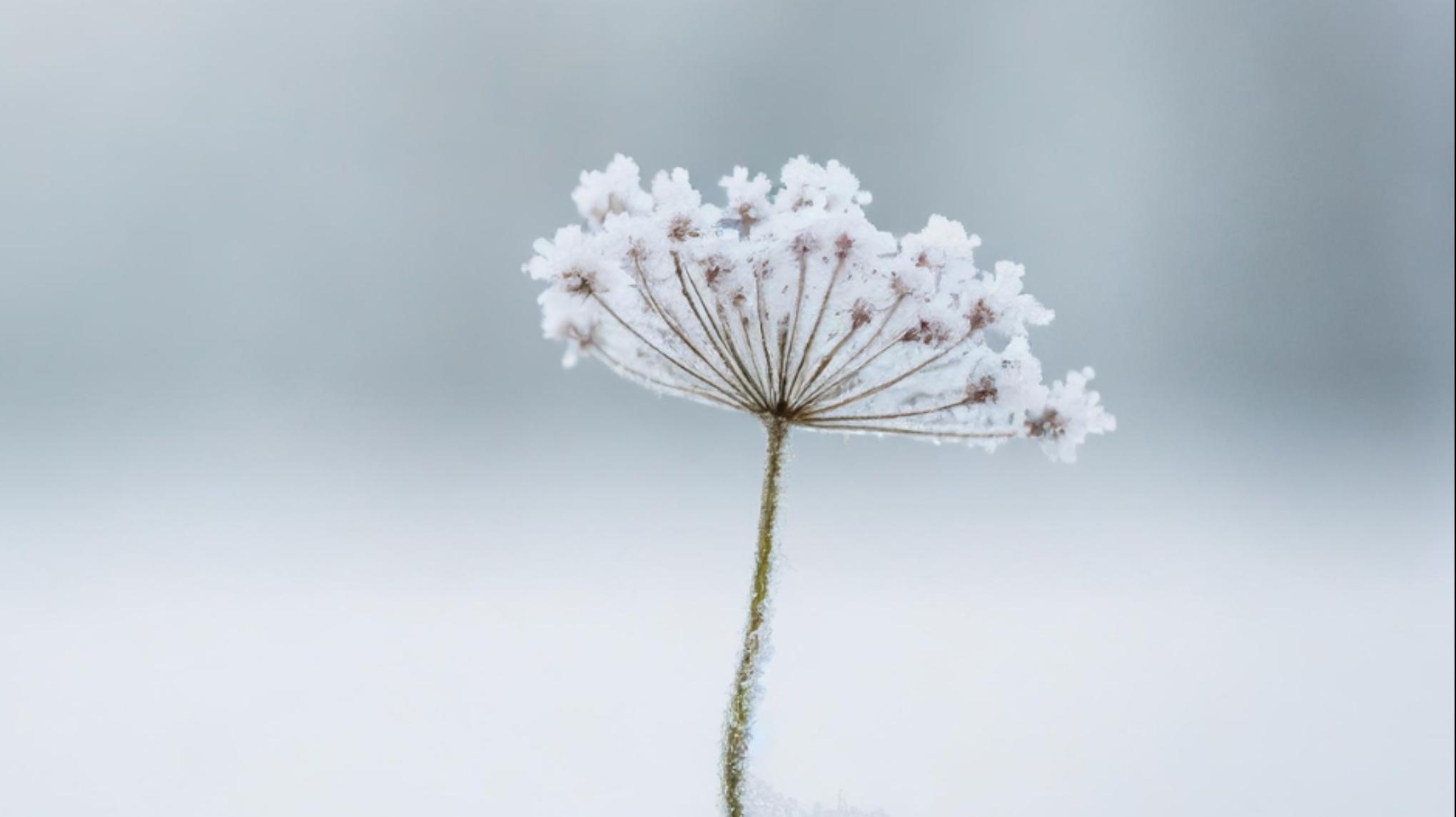 One day retreat 'Zachte landing'