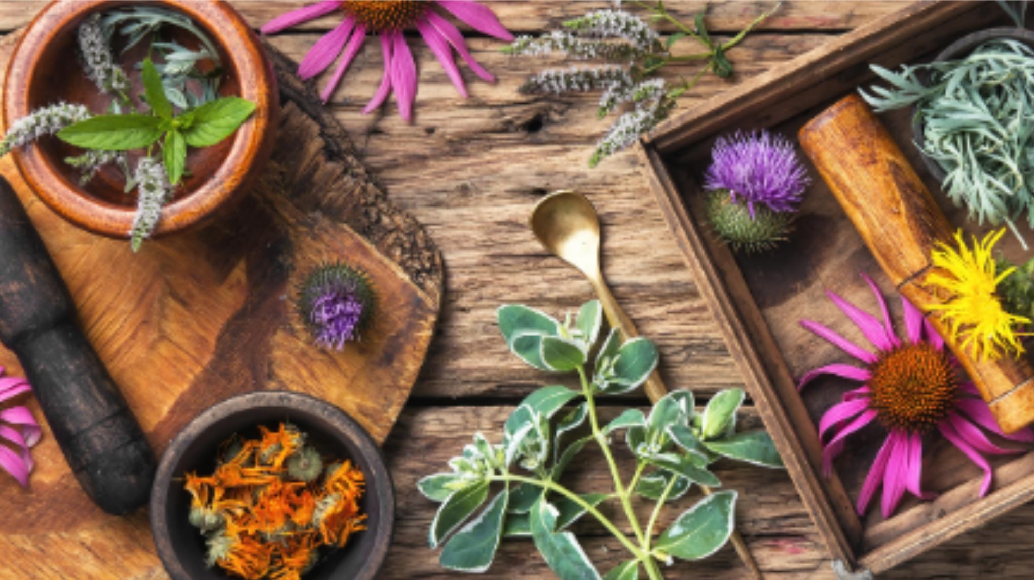 Workshop: Healing Through Food