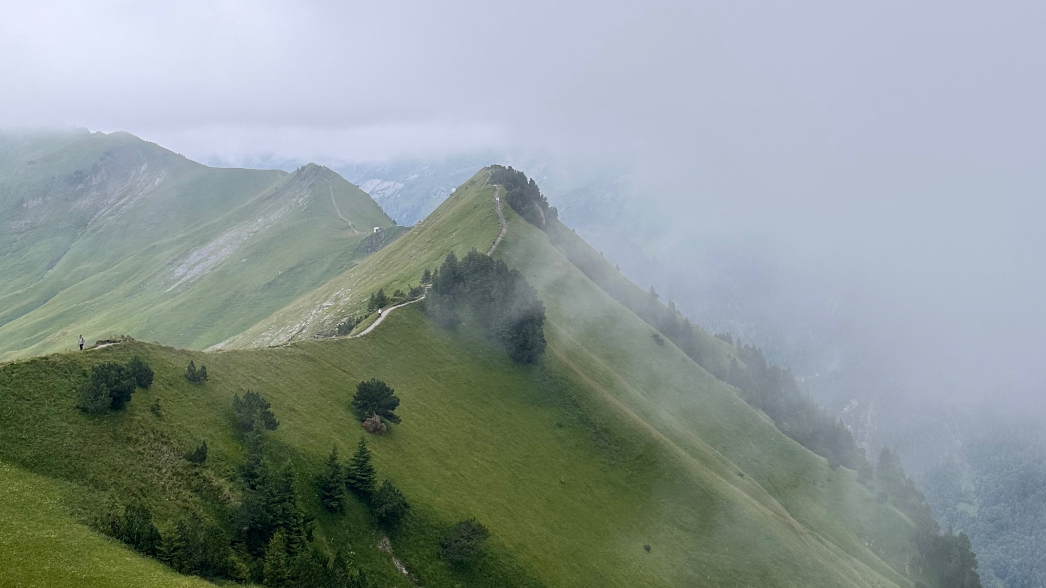 Meditacijų ir kvėpavimo praktikų diena studijoje (tyloje)