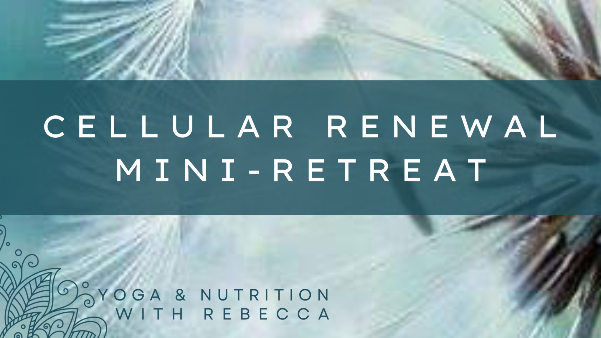 Cellular Renewal Yoga & Sound Bath Mini-Retreat