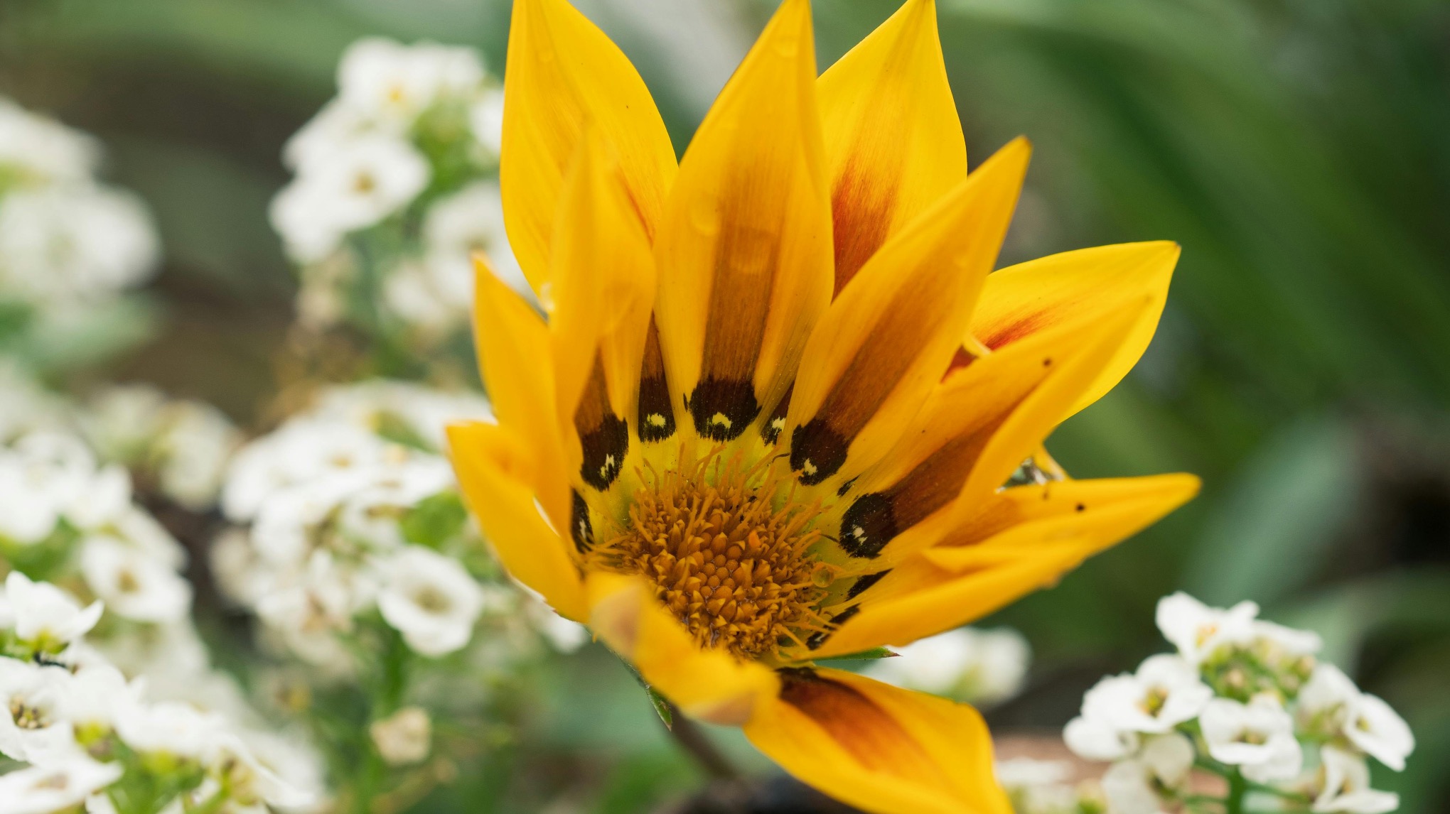 New Year, Same Me - A gentle entry into 2026