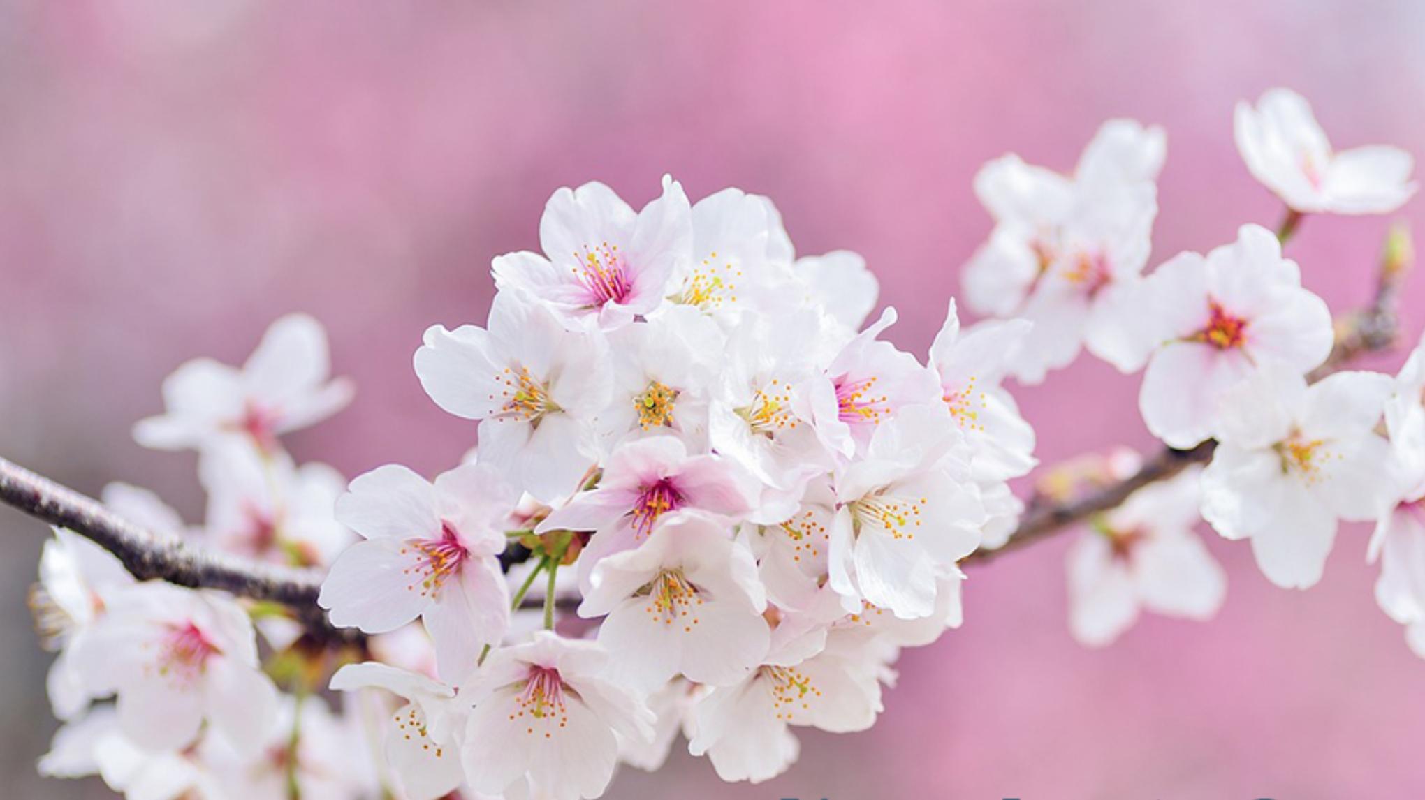 Yoga Special - Lente Licht | 21 maart