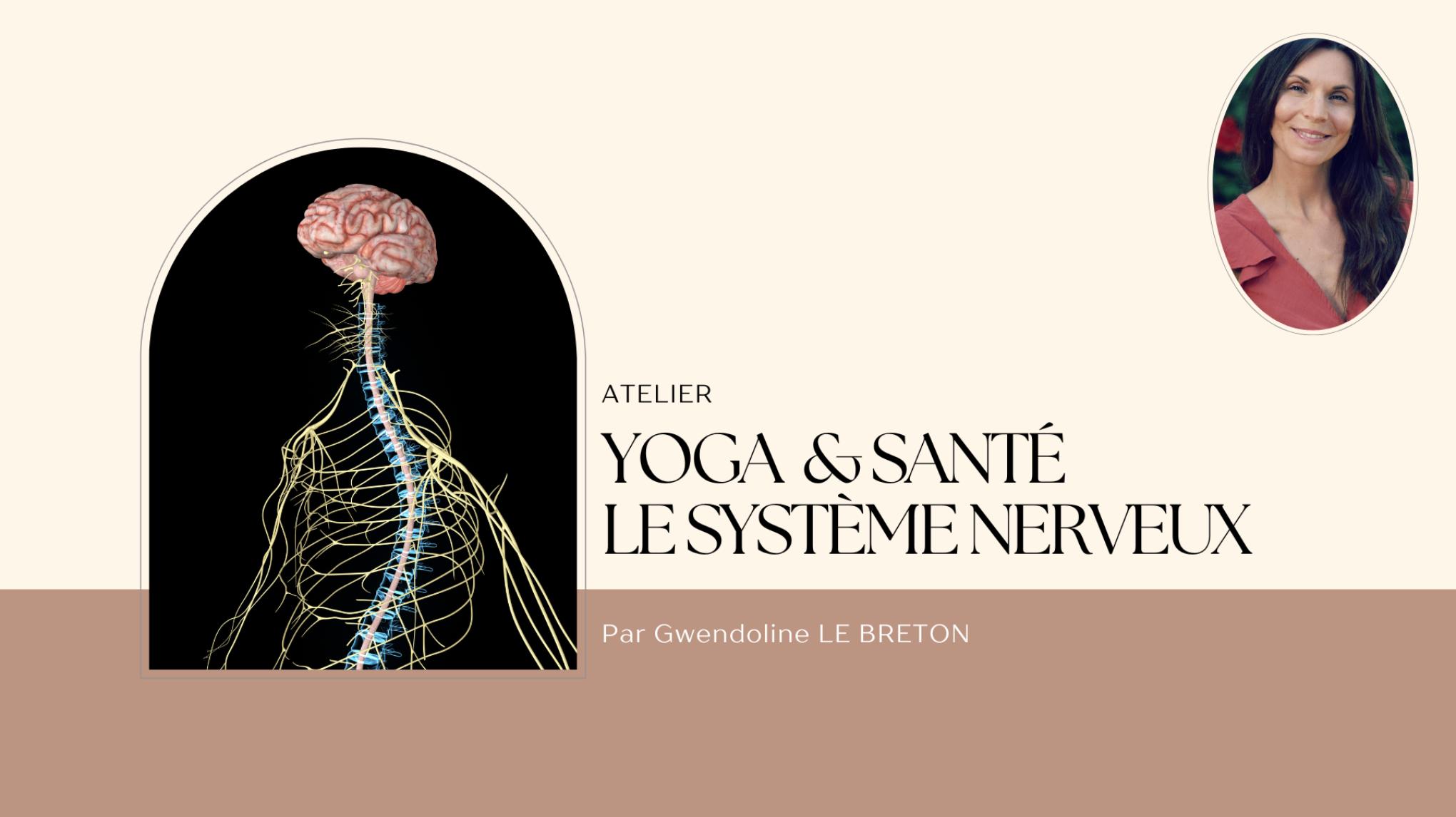 Yoga & Santé - "Le Système Nerveux"