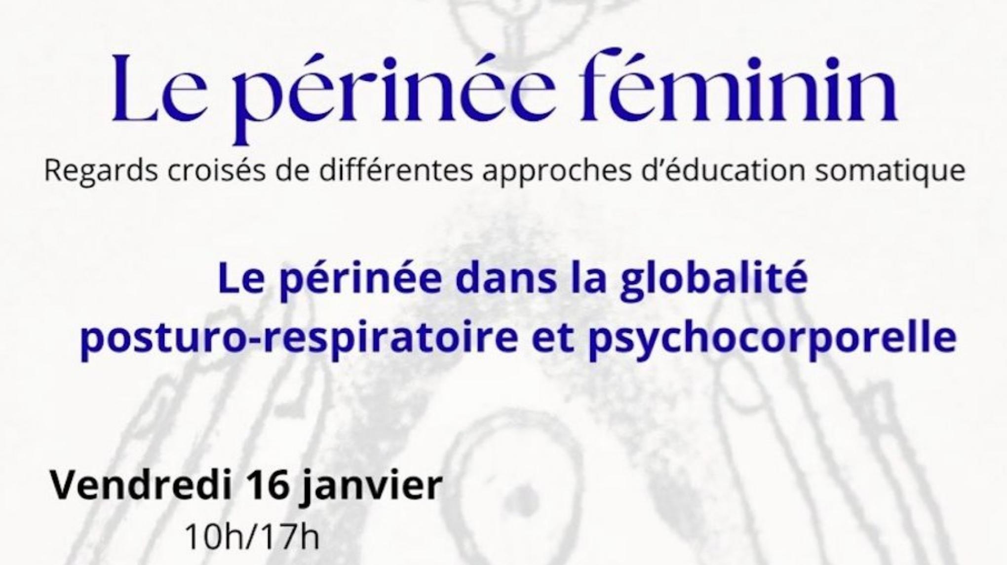 Le périnée féminin