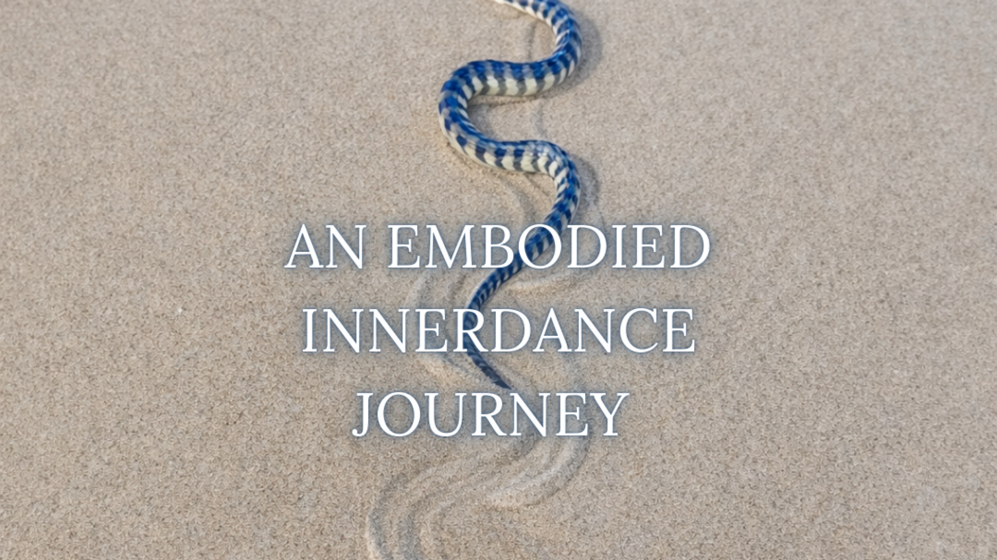 An Embodied InnerDance Journey