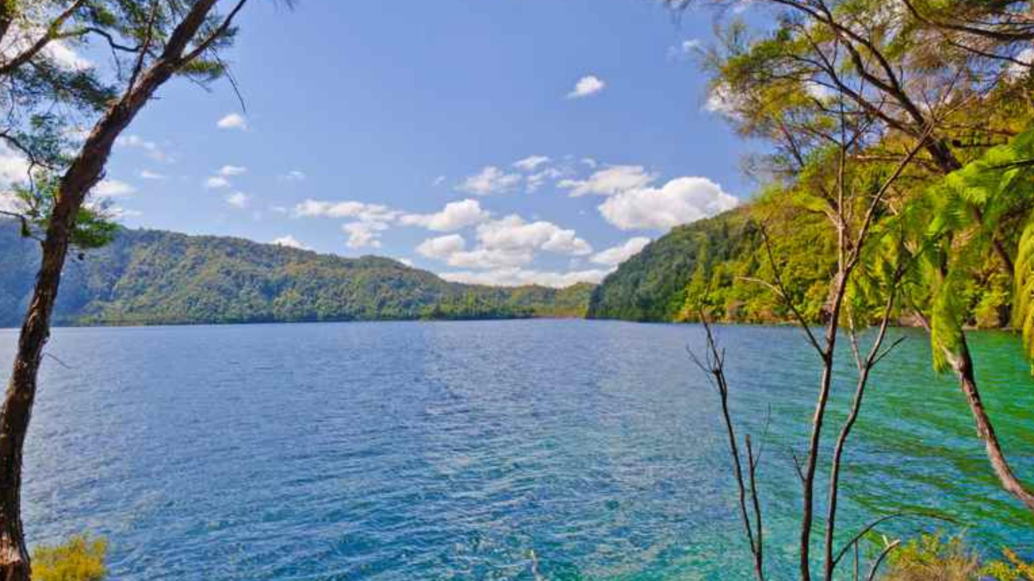 Resonance and Remembrance