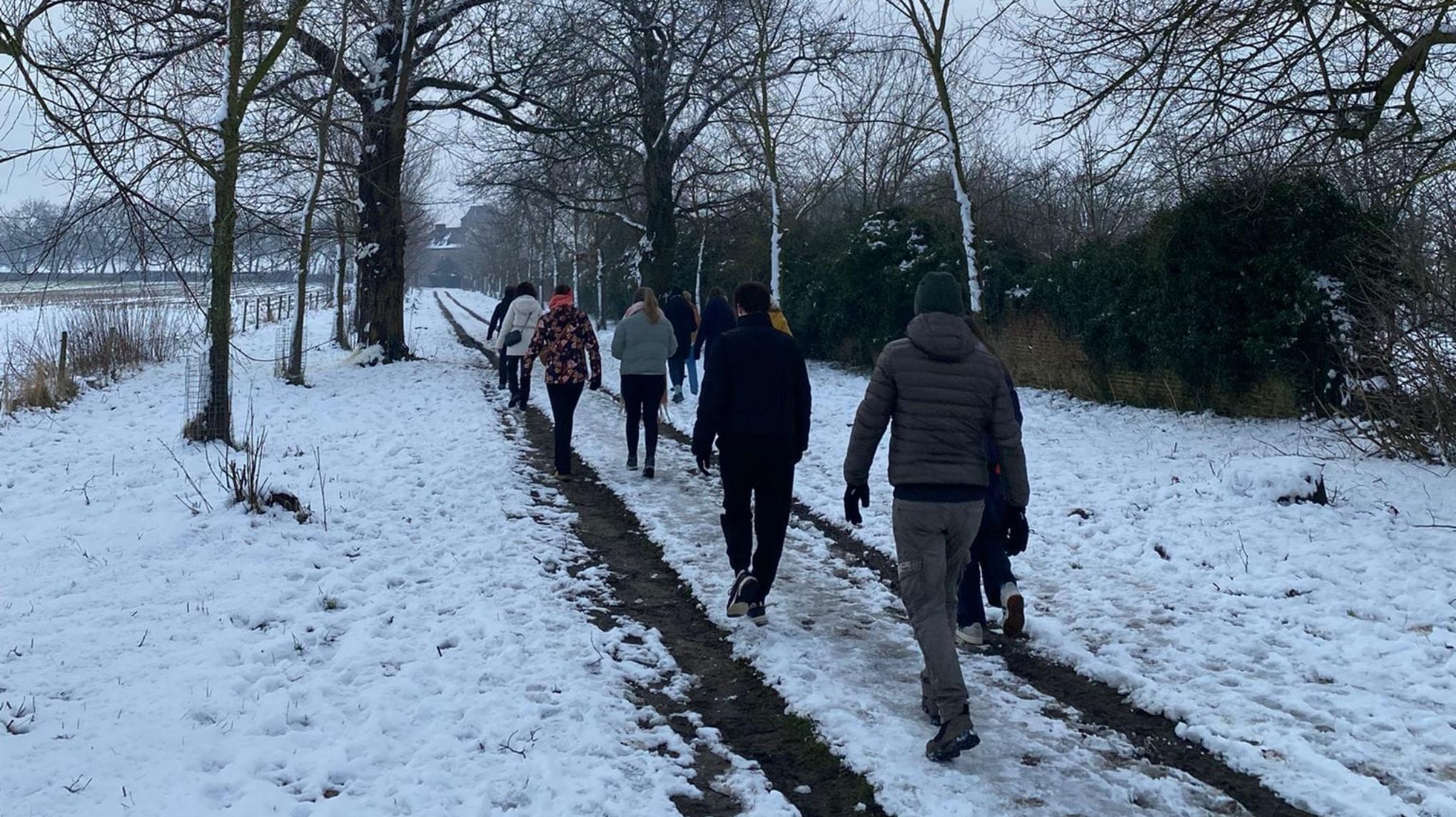 Meditatiewandeling met brunch - winter