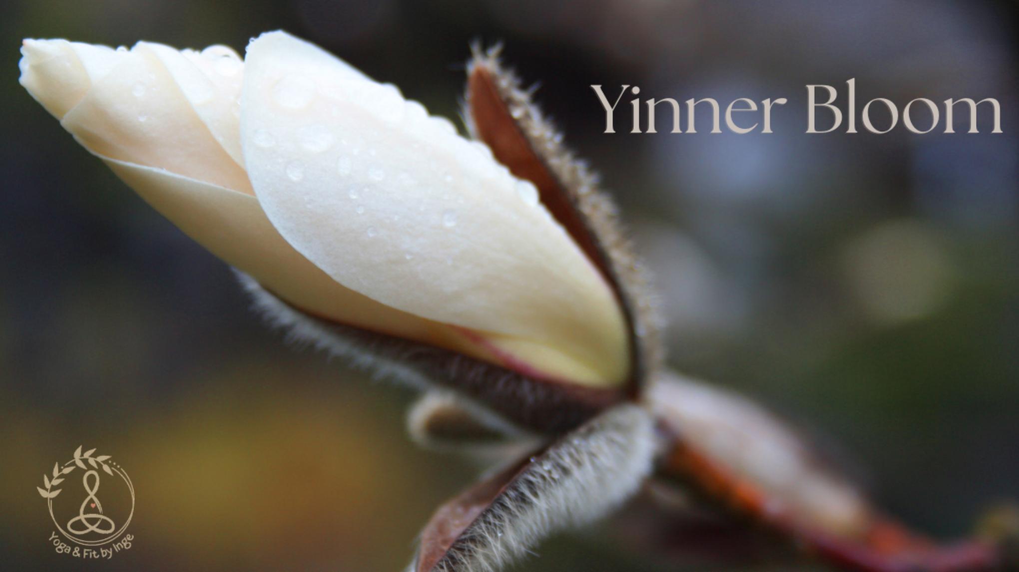 Yinner Bloom! Yin- Adem - Klank, 4-weekse special.