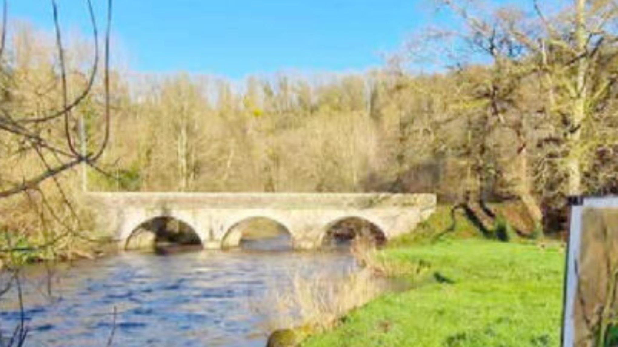 Stage de Yoga - Harmonie entre la nature sauvage et la paix intérieure.
