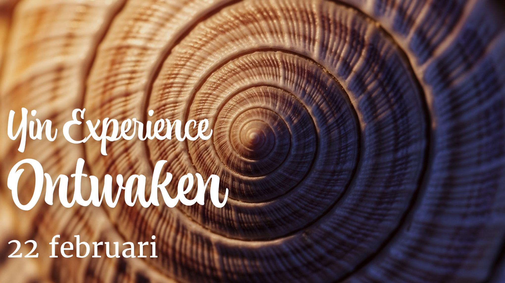 YIN Experience Ontwaken