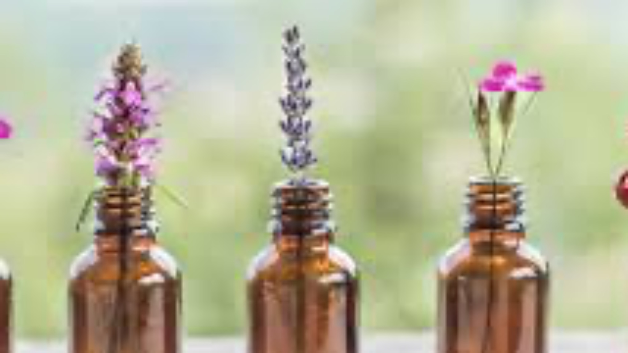 Aromayoga – een zachte reis naar binnen met Lenny