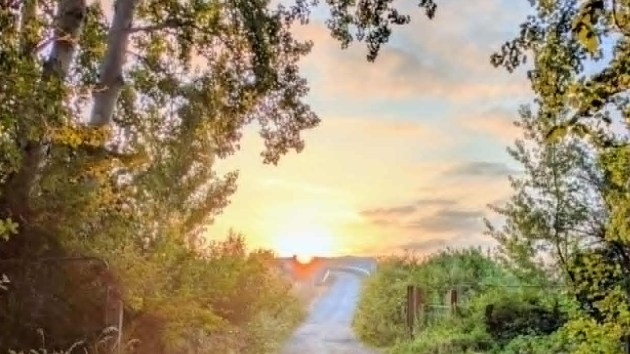 Equinox Walk - 21 March - 11am