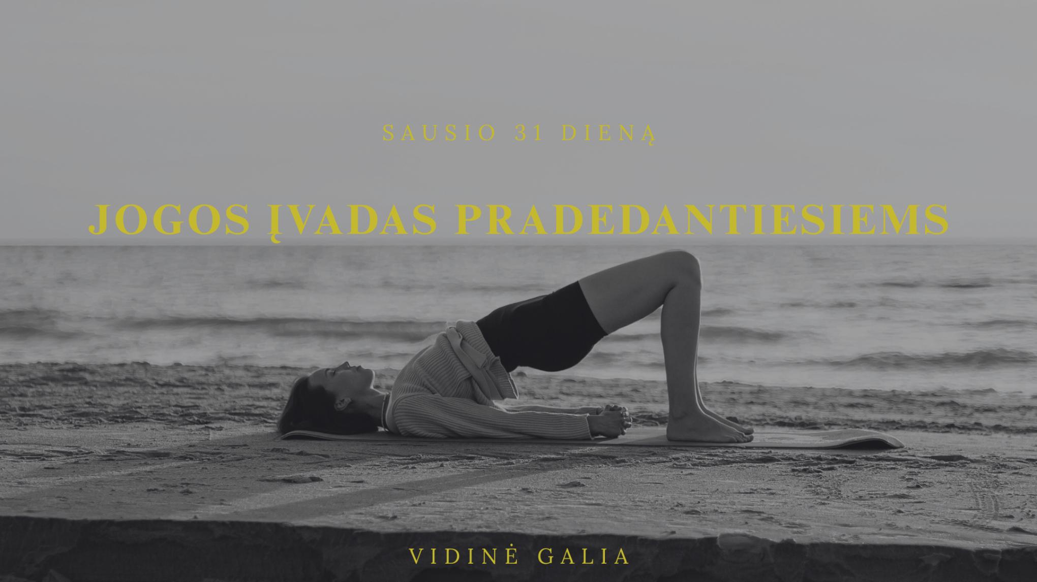 Jogos įvadas pradedantiesiems