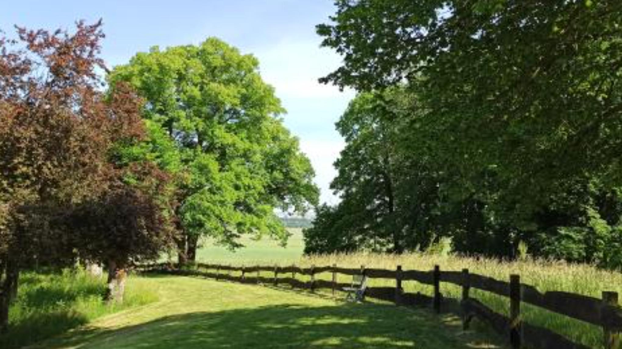 Retraite atelier Yoga -  bien-être du dos