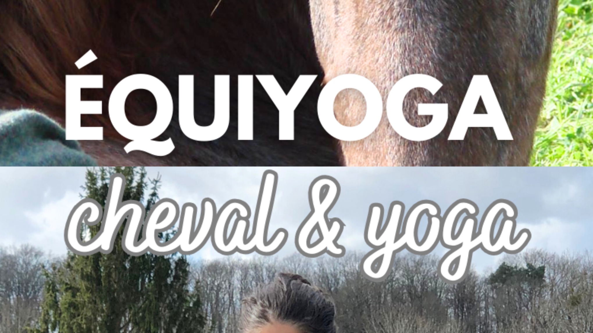 Equiyoga 🐴🧘‍♀️