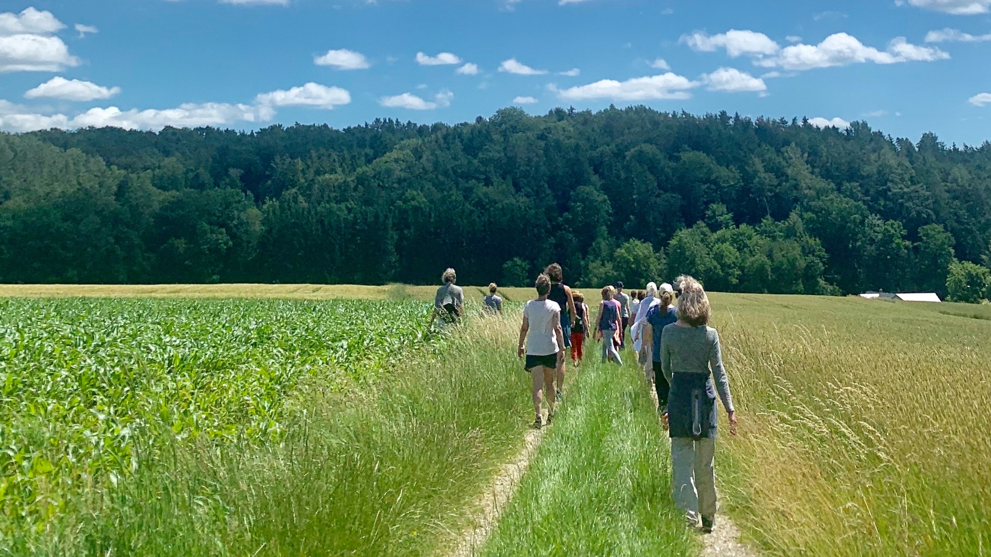 BreathWalk® Ausbildung Kurs Teil 2, Friedland, (bei Berlin)