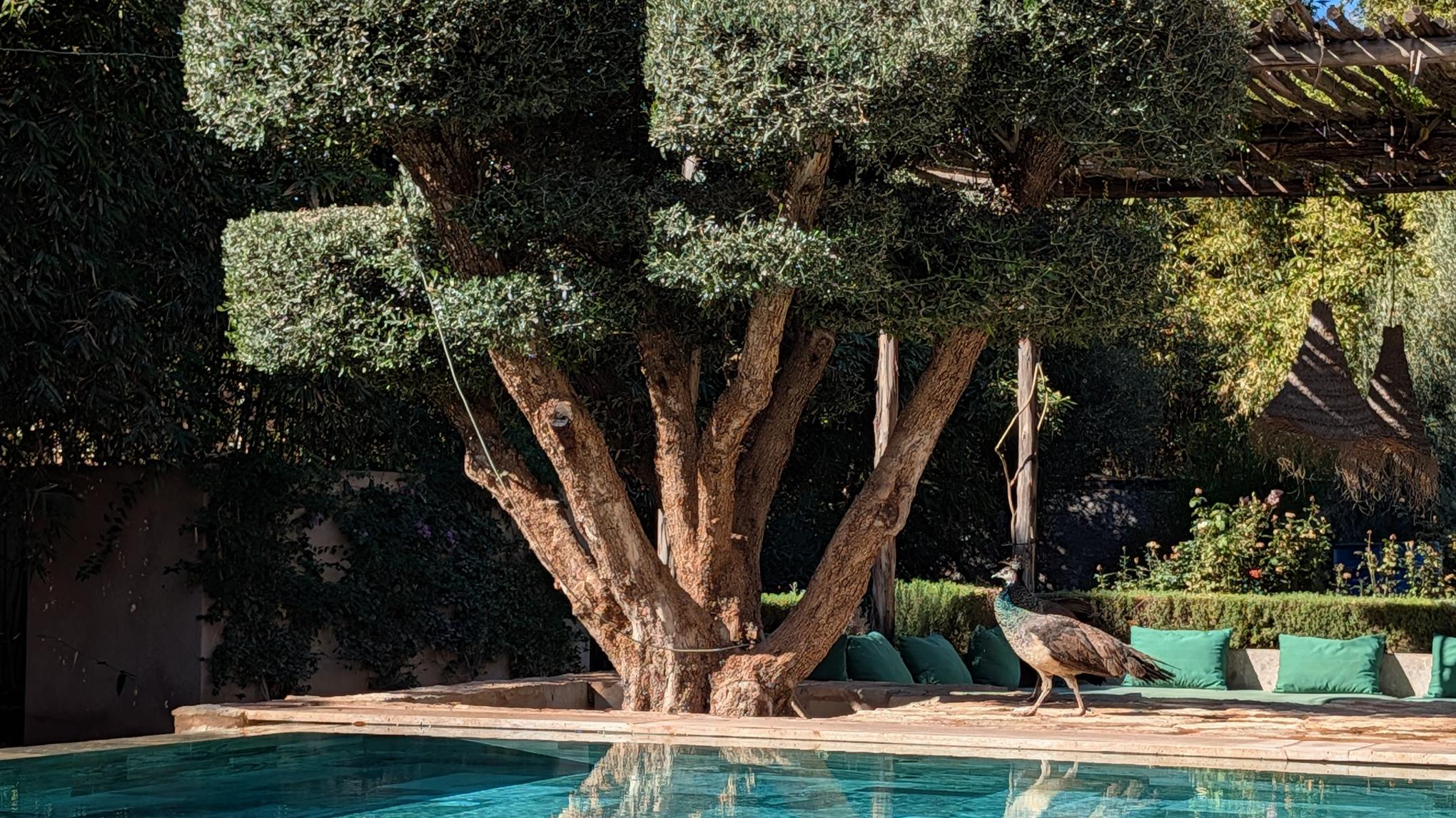 Marrakech Retreat 2026