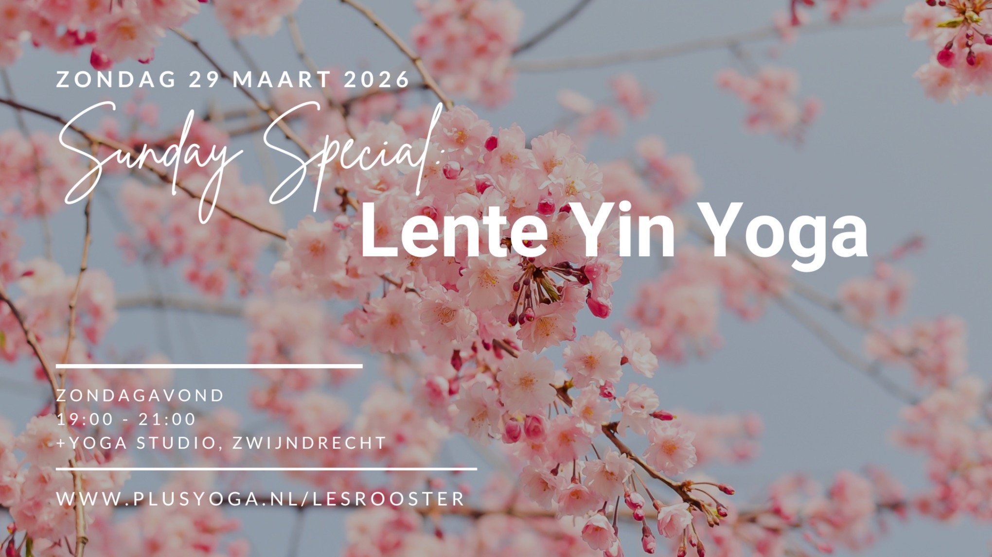Sunday Special: Yin Yoga Lente editie
