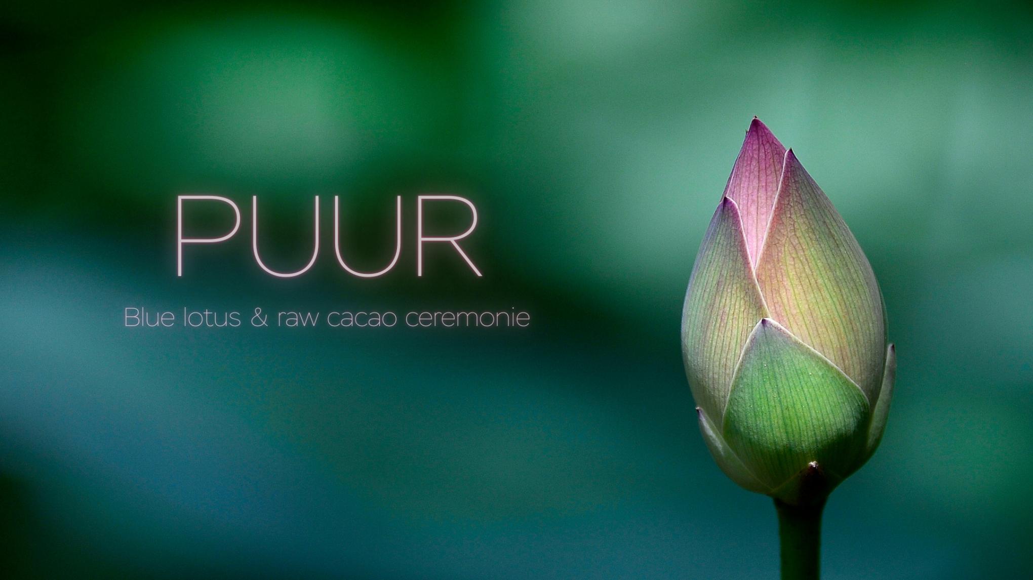 PUUR! Blue Lotus & Raw Cacao Ceremonie