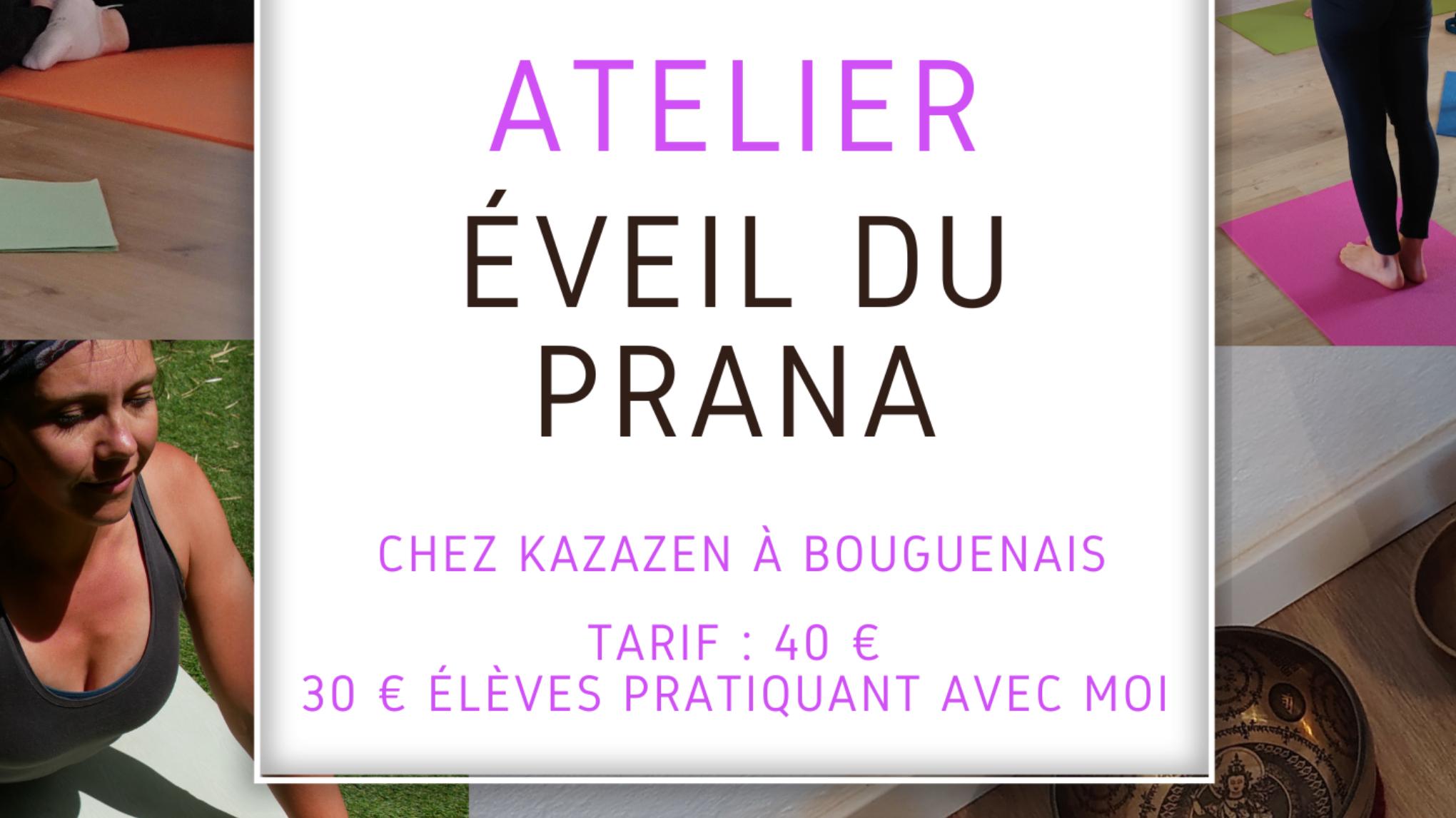 Matinée Yoga Eveil du Prana