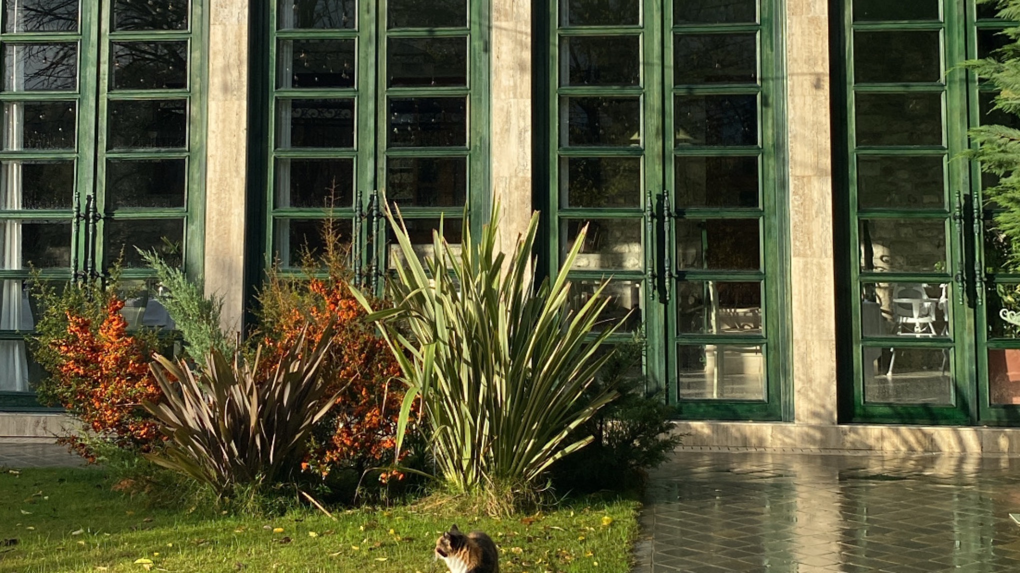 Wellness weekend ne IL Paese