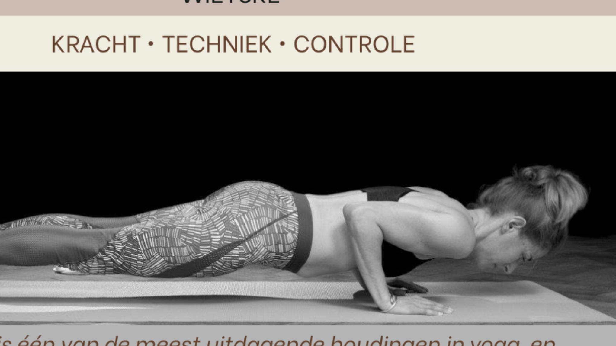 Workshop Shaturanga Dandasana