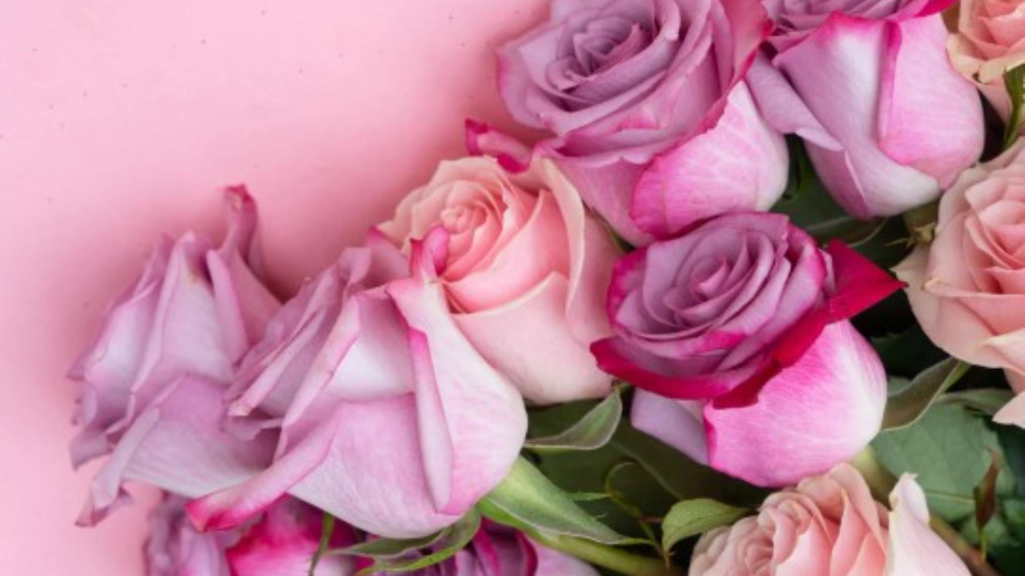 Mother's Day Retreat - Celebrating the Women in Our Lives