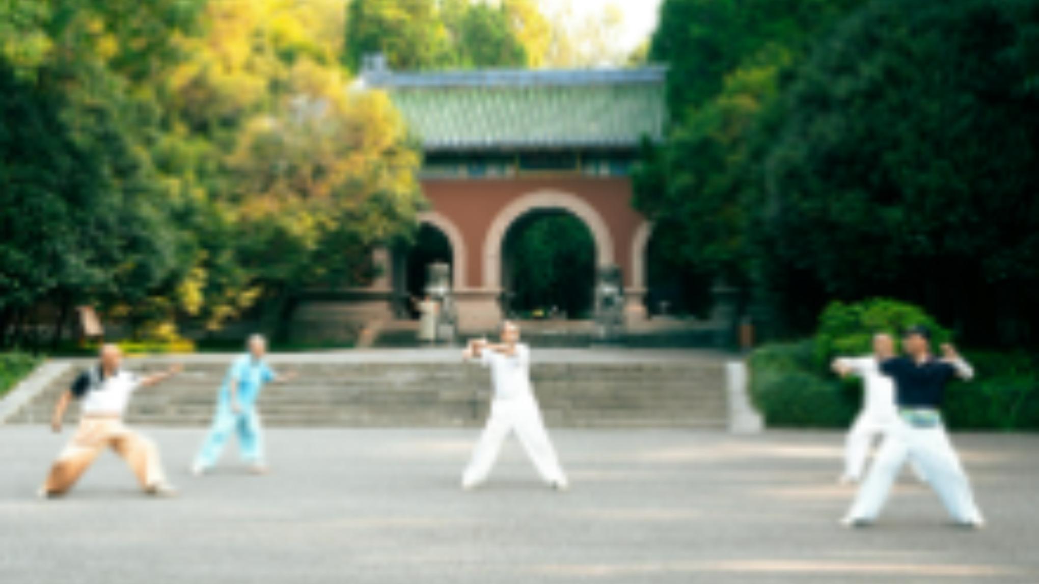 Tai Chi - basis workshop (2 uren) VOLZET