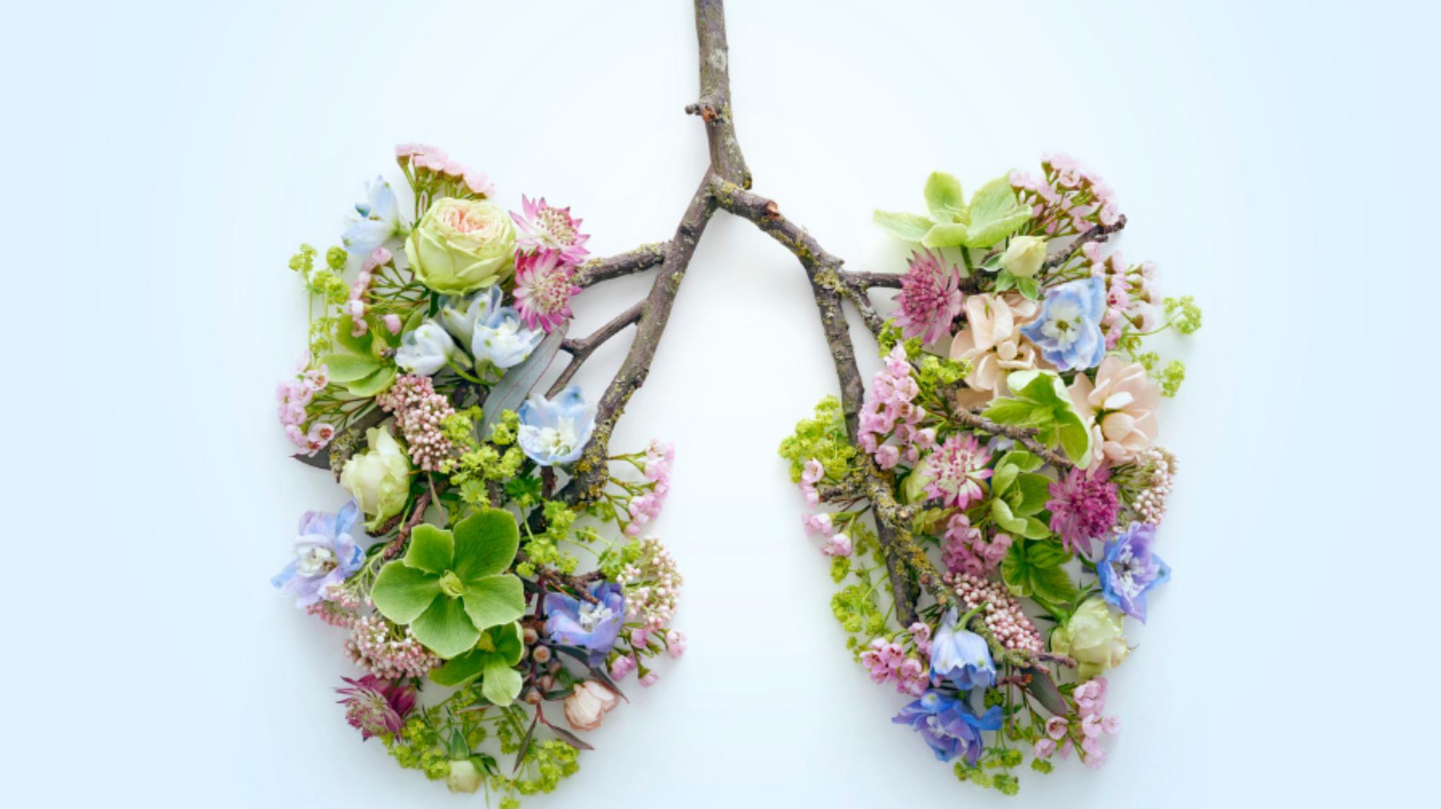 Breathwork & Soundbath ~ Travel within